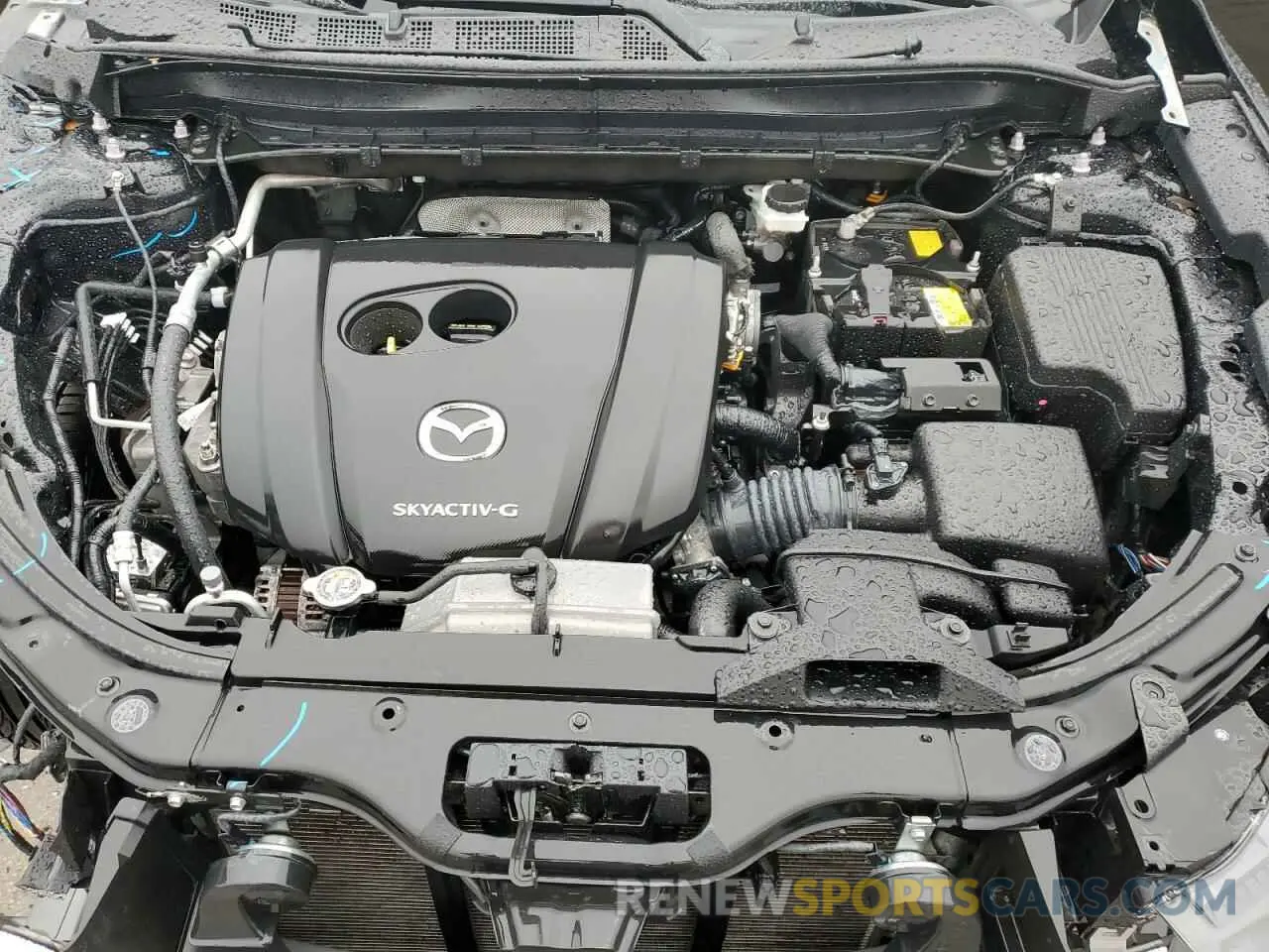 12 fotografías del automóvil dañado JM3KFBCM5M1408115 MAZDA CX-5 2021