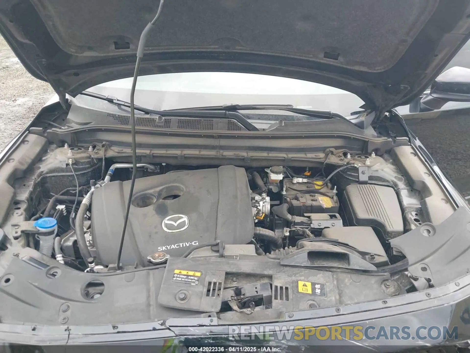 10 fotografías del automóvil dañado JM3KFBCM3P0270620 MAZDA CX-5 2023