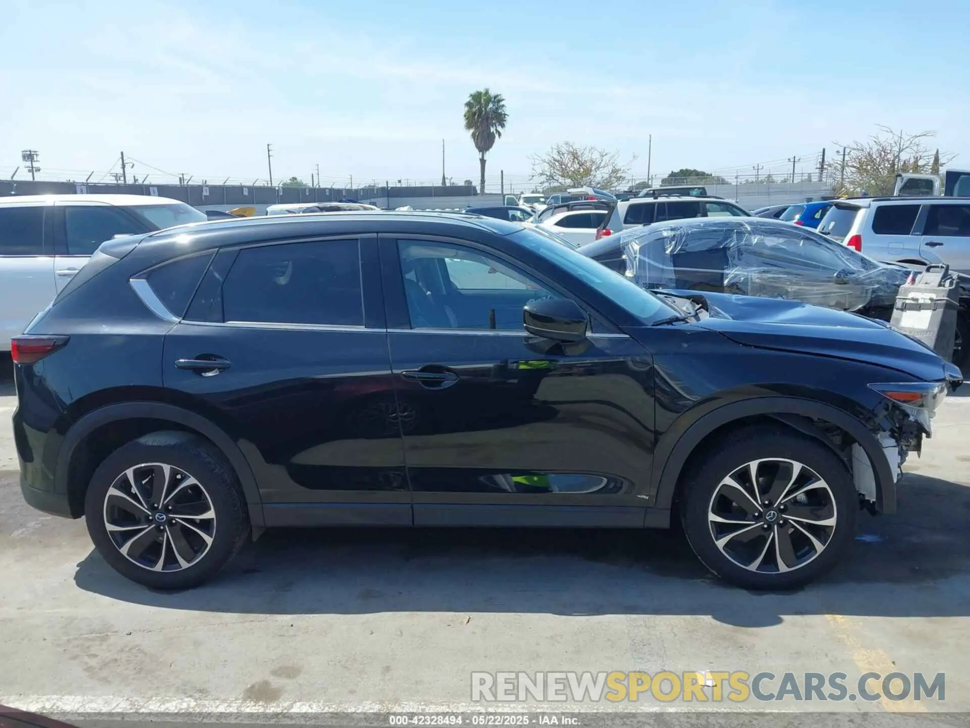 12 fotografías del automóvil dañado JM3KFBDM3P0218645 MAZDA CX-5 2023