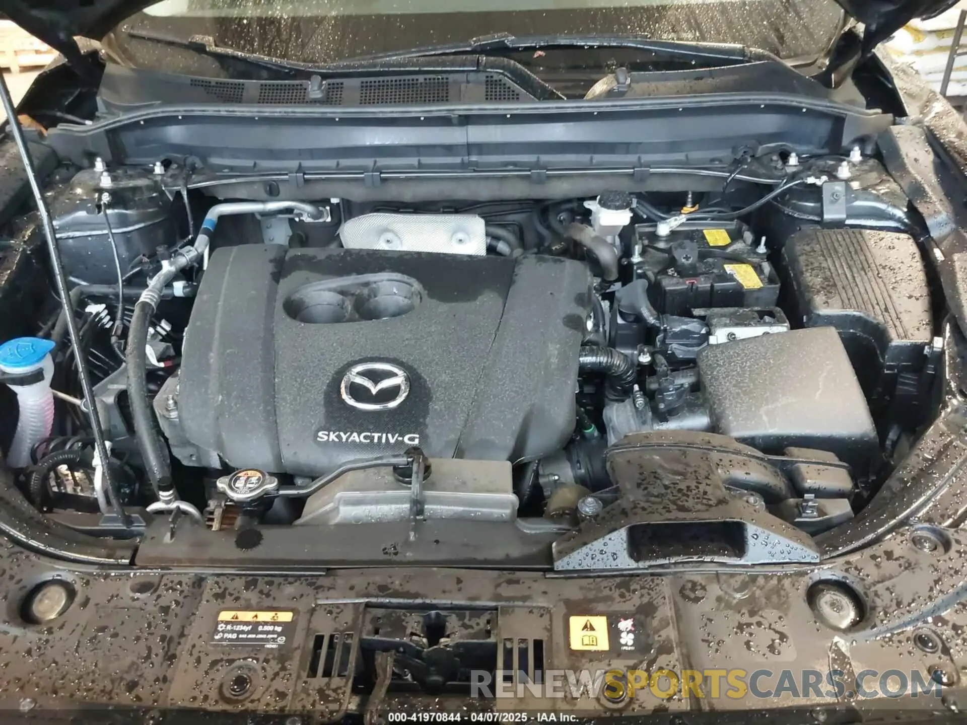 10 fotografías del automóvil dañado JM3KFBBLXR0425367 MAZDA CX-5 2024