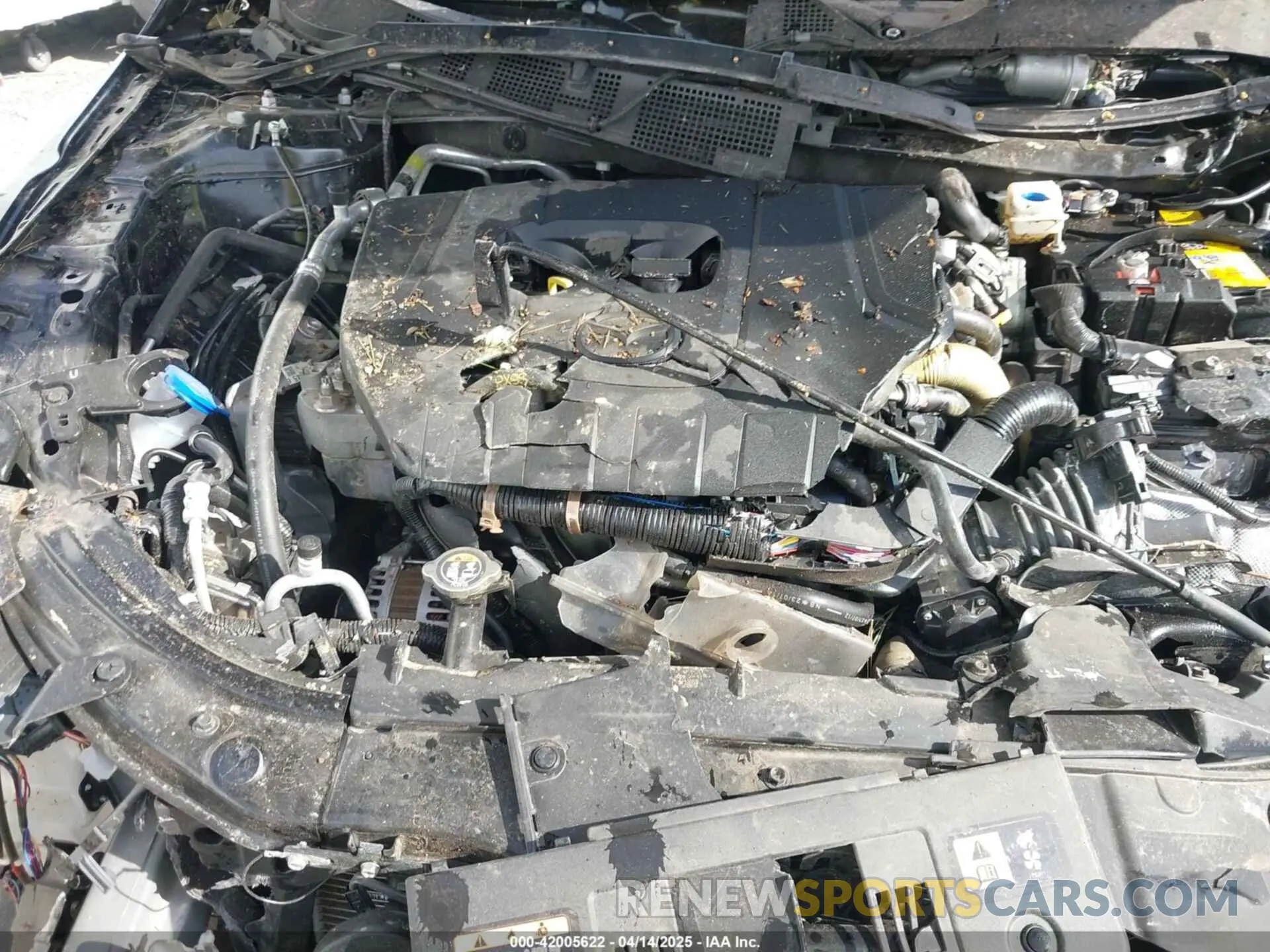 10 fotografías del automóvil dañado JM3KFBCM9R0389193 MAZDA CX-5 2024