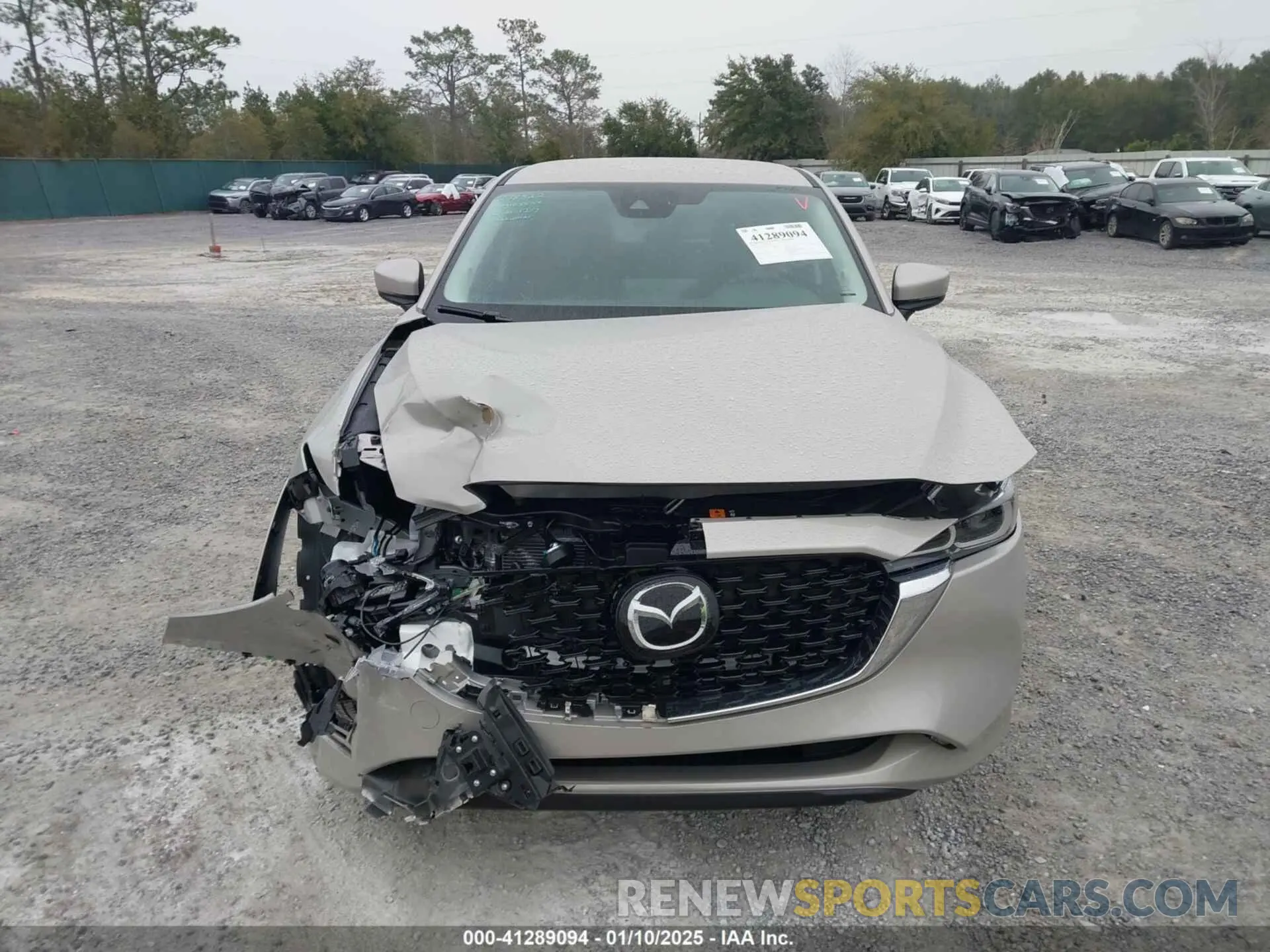 12 fotografías del automóvil dañado JM3KFBBL2S0553818 MAZDA CX-5 2025