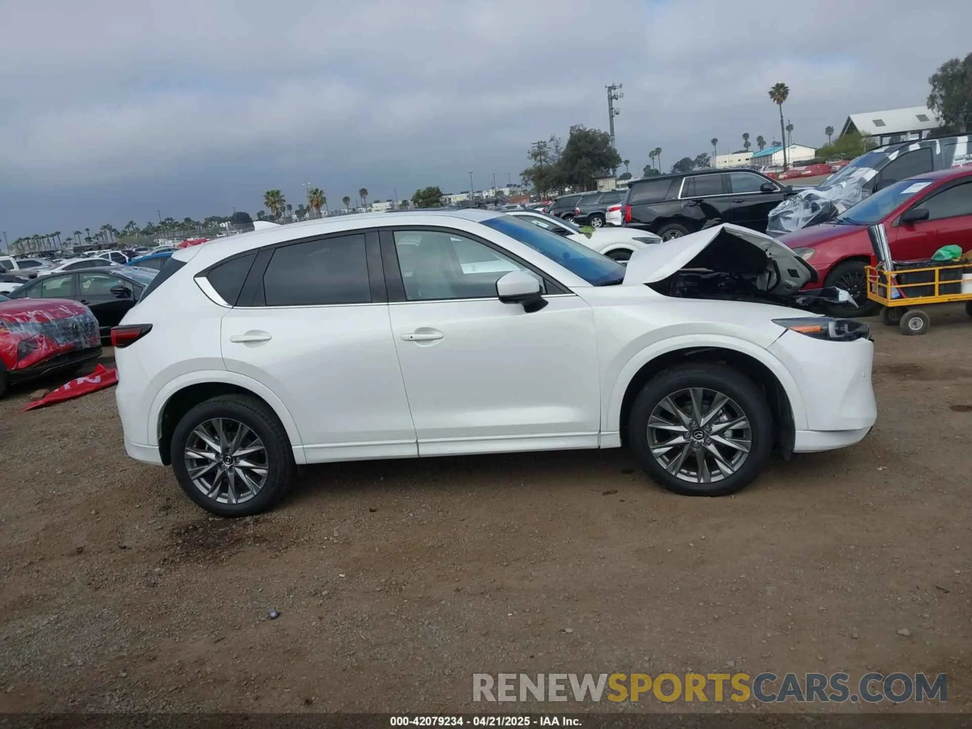 14 fotografías del automóvil dañado JM3KFBEM2S0637206 MAZDA CX-5 2025