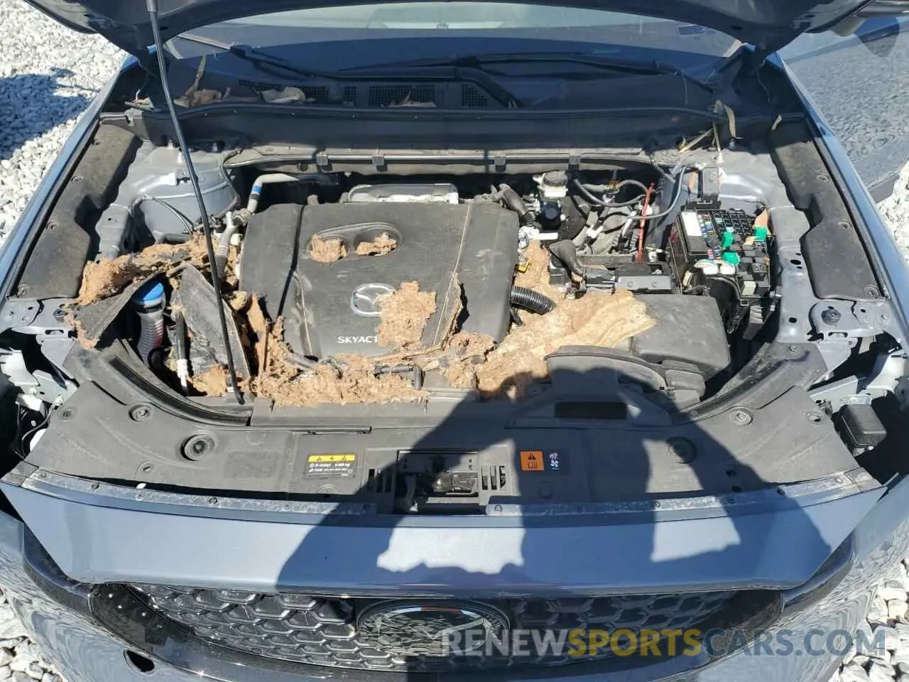 12 fotografías del automóvil dañado JM3KFBCM6N1574838 MAZDA CX-5 PREFE 2022