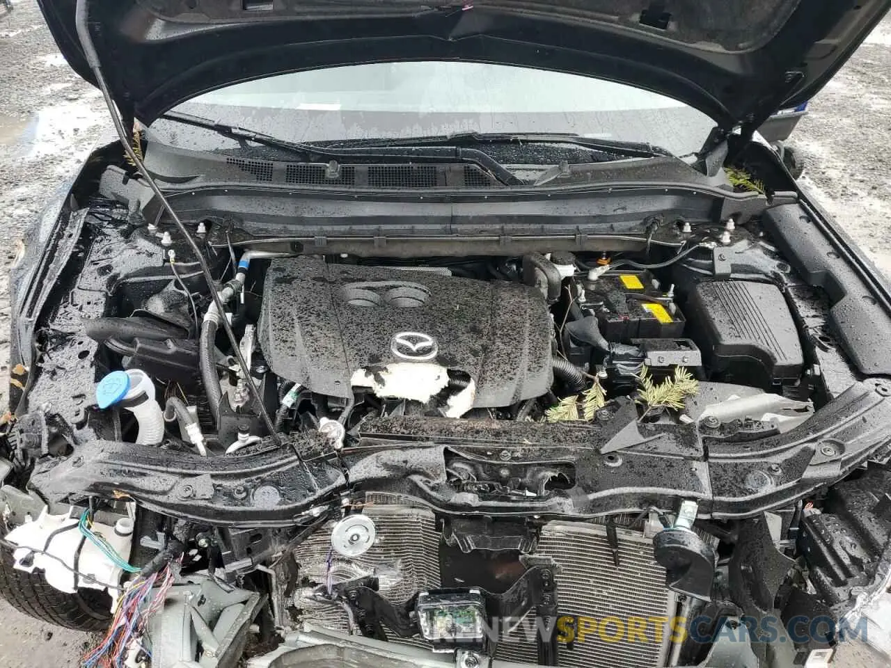 12 fotografías del automóvil dañado JM3KFBBL4S0585346 MAZDA CX-5 SELEC 2025