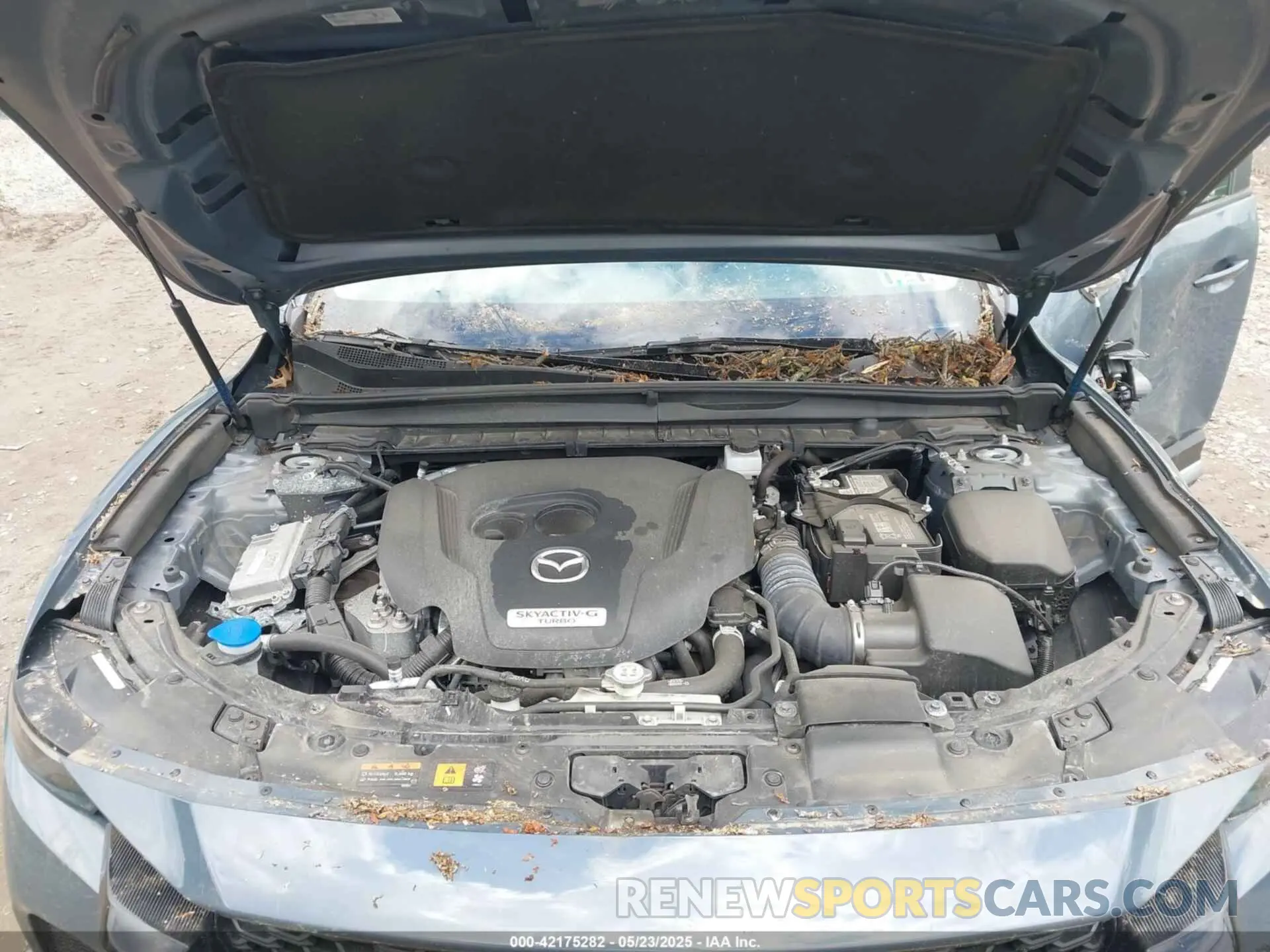 10 fotografías del automóvil dañado 7MMVABXY0PN135051 MAZDA CX-50 2023