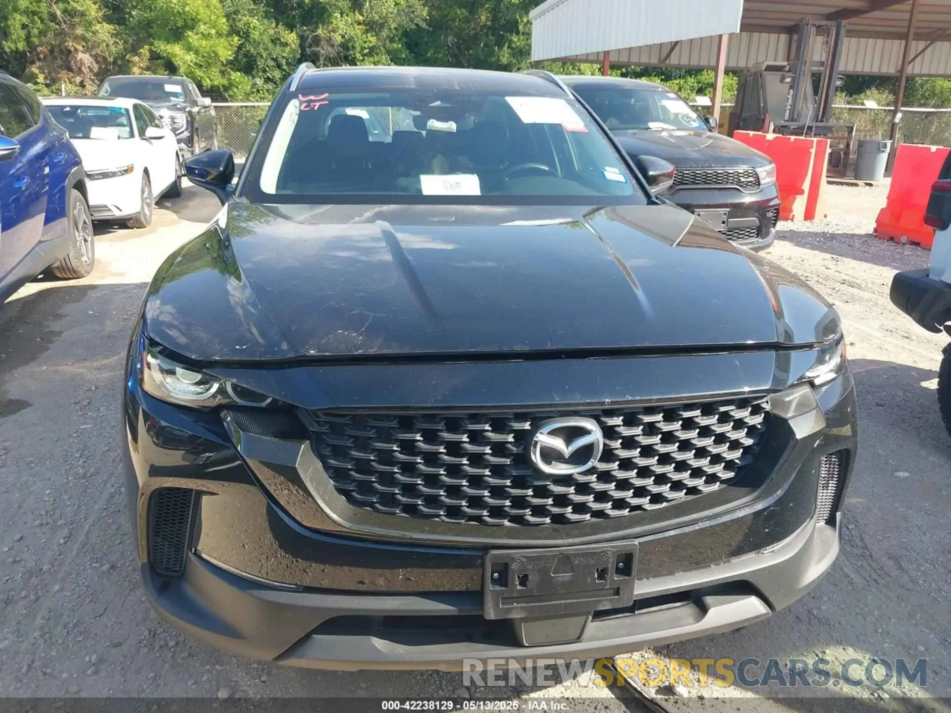 12 fotografías del automóvil dañado 7MMVABBMXSN337974 MAZDA CX-50 2025