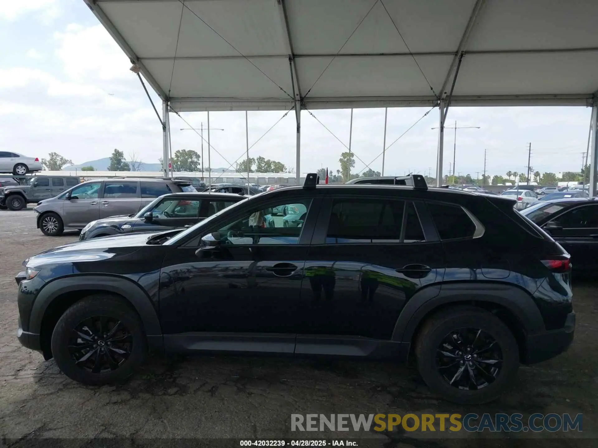 14 fotografías del automóvil dañado 7MMVABDM7SN316027 MAZDA CX-50 2025
