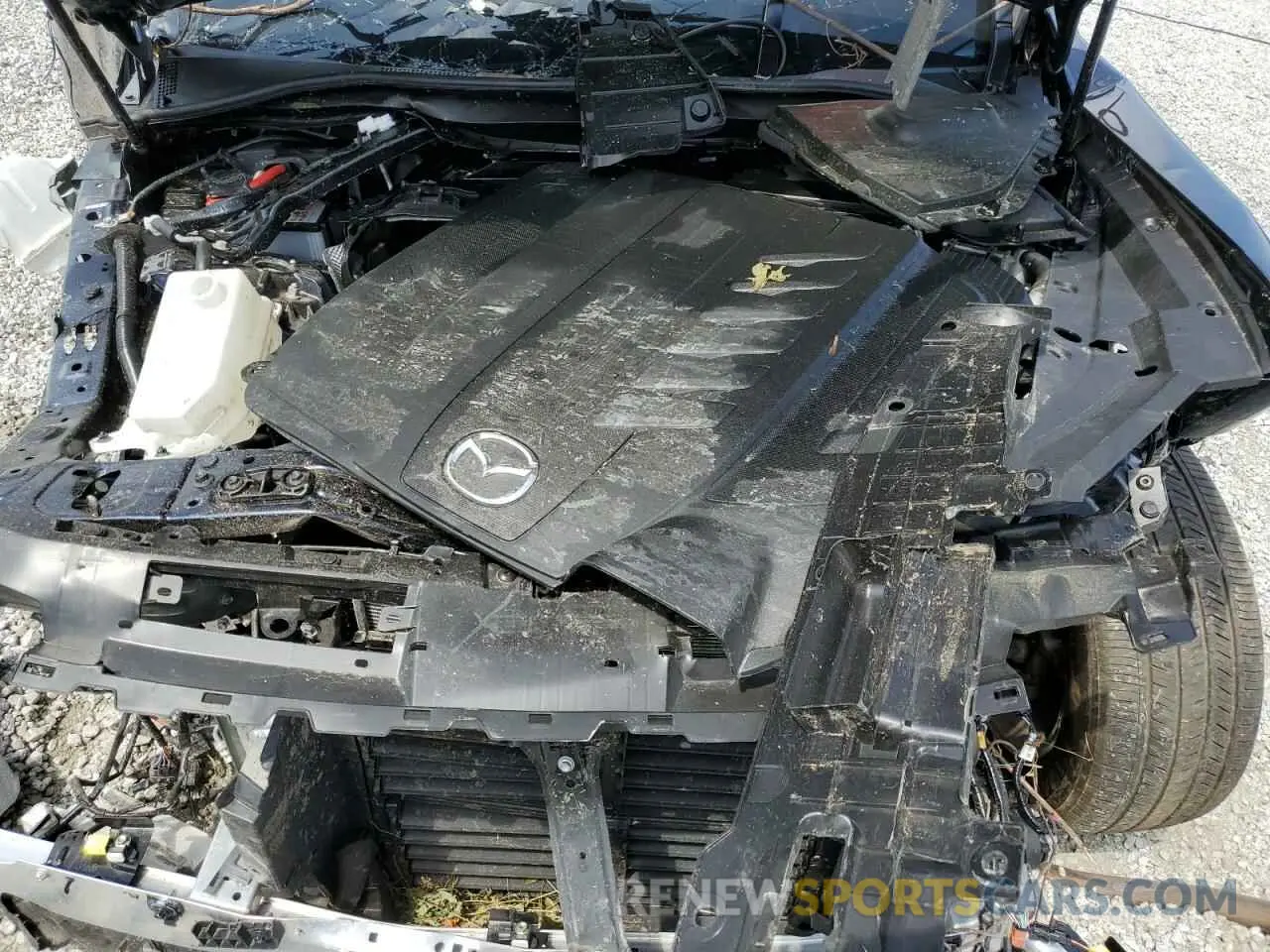 12 fotografías del automóvil dañado JM3KKAHDXR1181168 MAZDA CX-90 2024