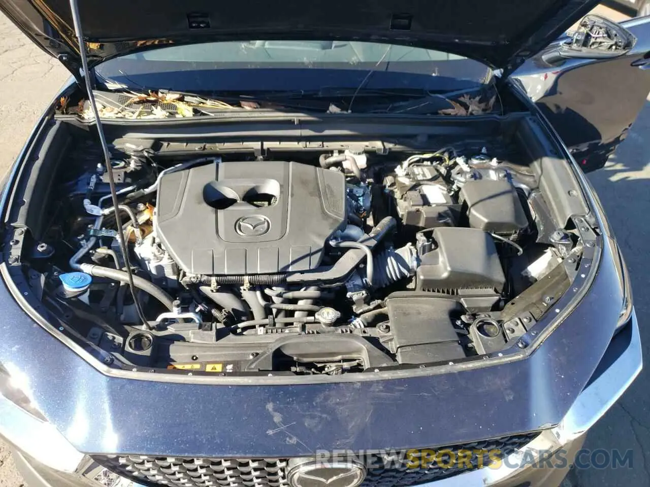 13 fotografías del automóvil dañado 3MVDMBAM0RM607611 MAZDA CX30 2024