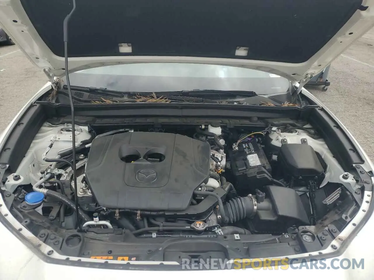 11 fotografías del automóvil dañado 3MVDMBCM2RM664132 MAZDA CX30 2024
