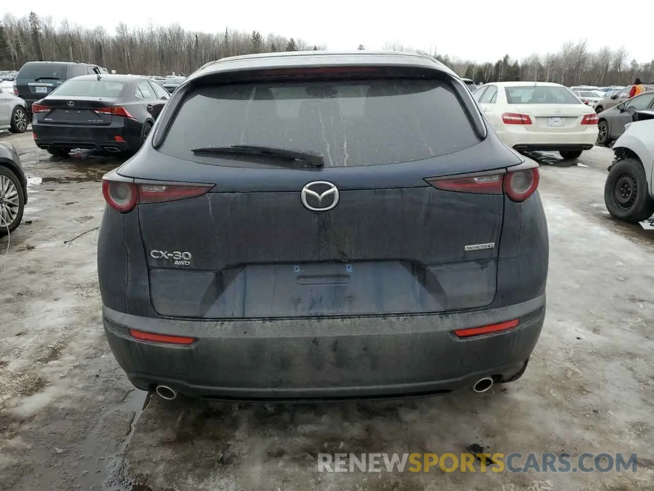 6 fotografías del automóvil dañado 3MVDMBCM8RM670923 MAZDA CX30 2024
