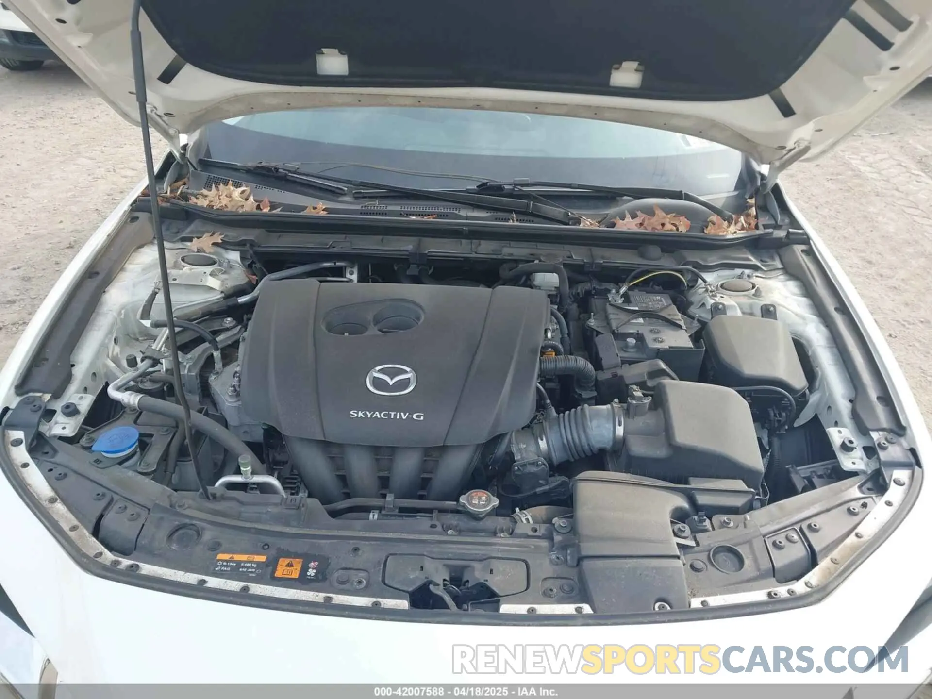 10 fotografías del automóvil dañado 3MZBPADL4KM106317 MAZDA MAZDA3 2019