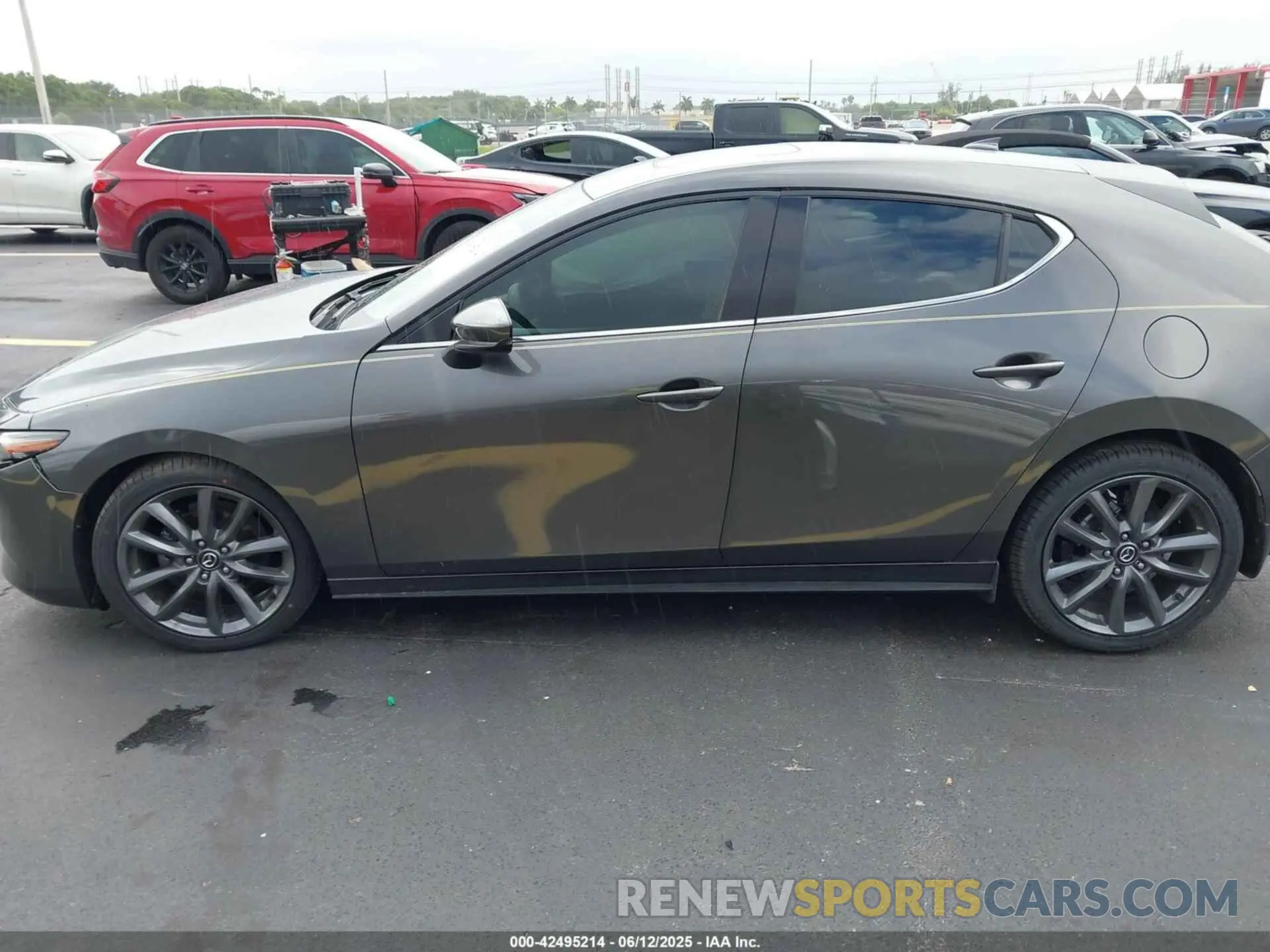 14 fotografías del automóvil dañado JM1BPANM3K1140563 MAZDA MAZDA3 2019