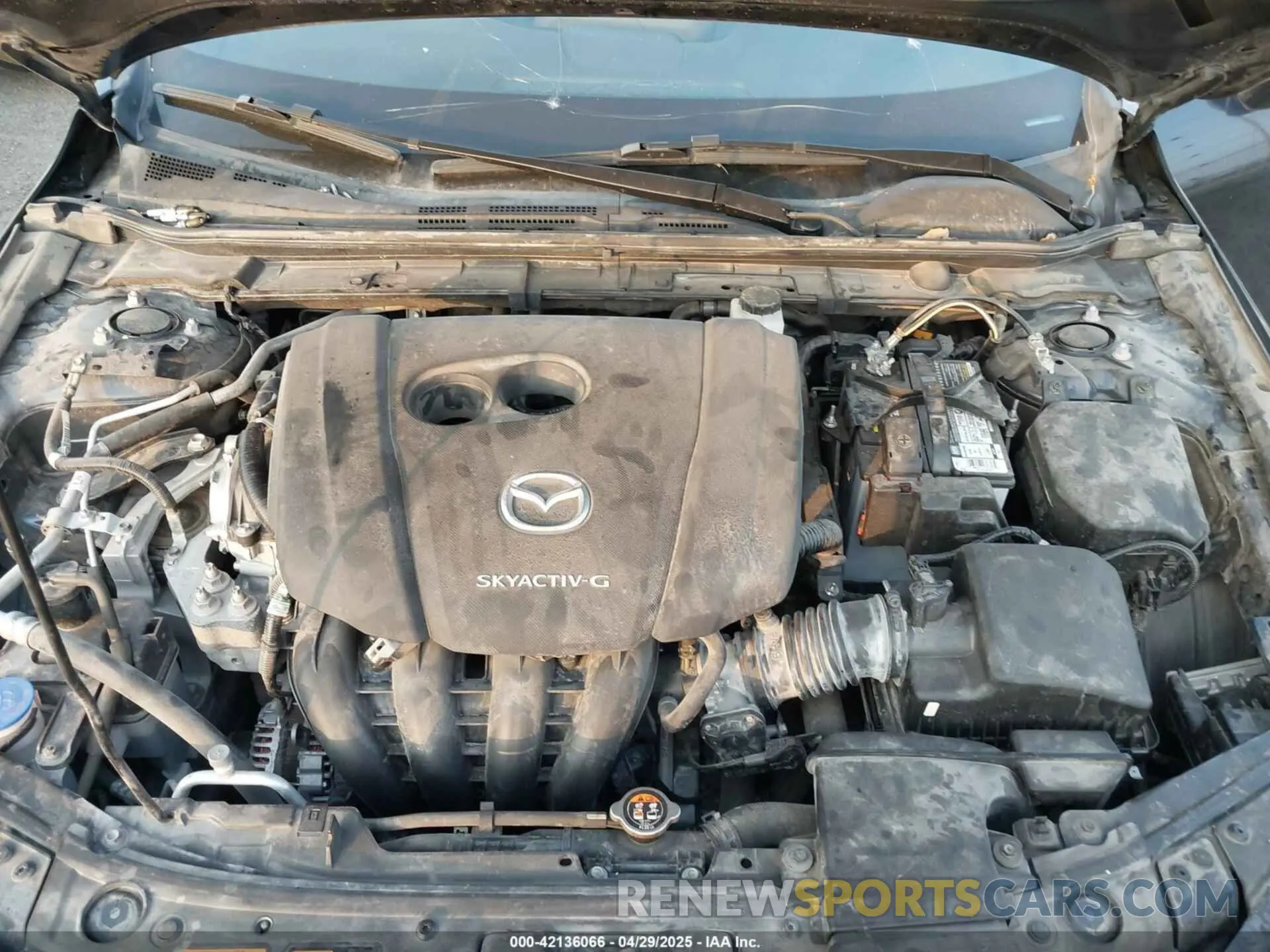 10 fotografías del automóvil dañado JM1BPAMM9L1167012 MAZDA MAZDA3 2020