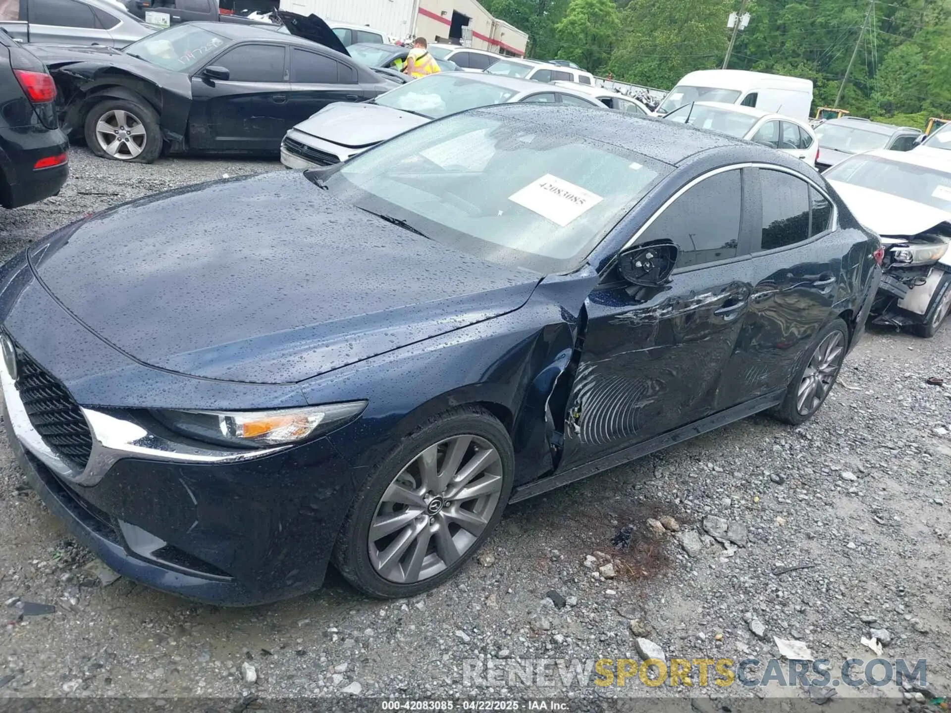 14 fotografías del automóvil dañado JM1BPBDM3L1162197 MAZDA MAZDA3 2020