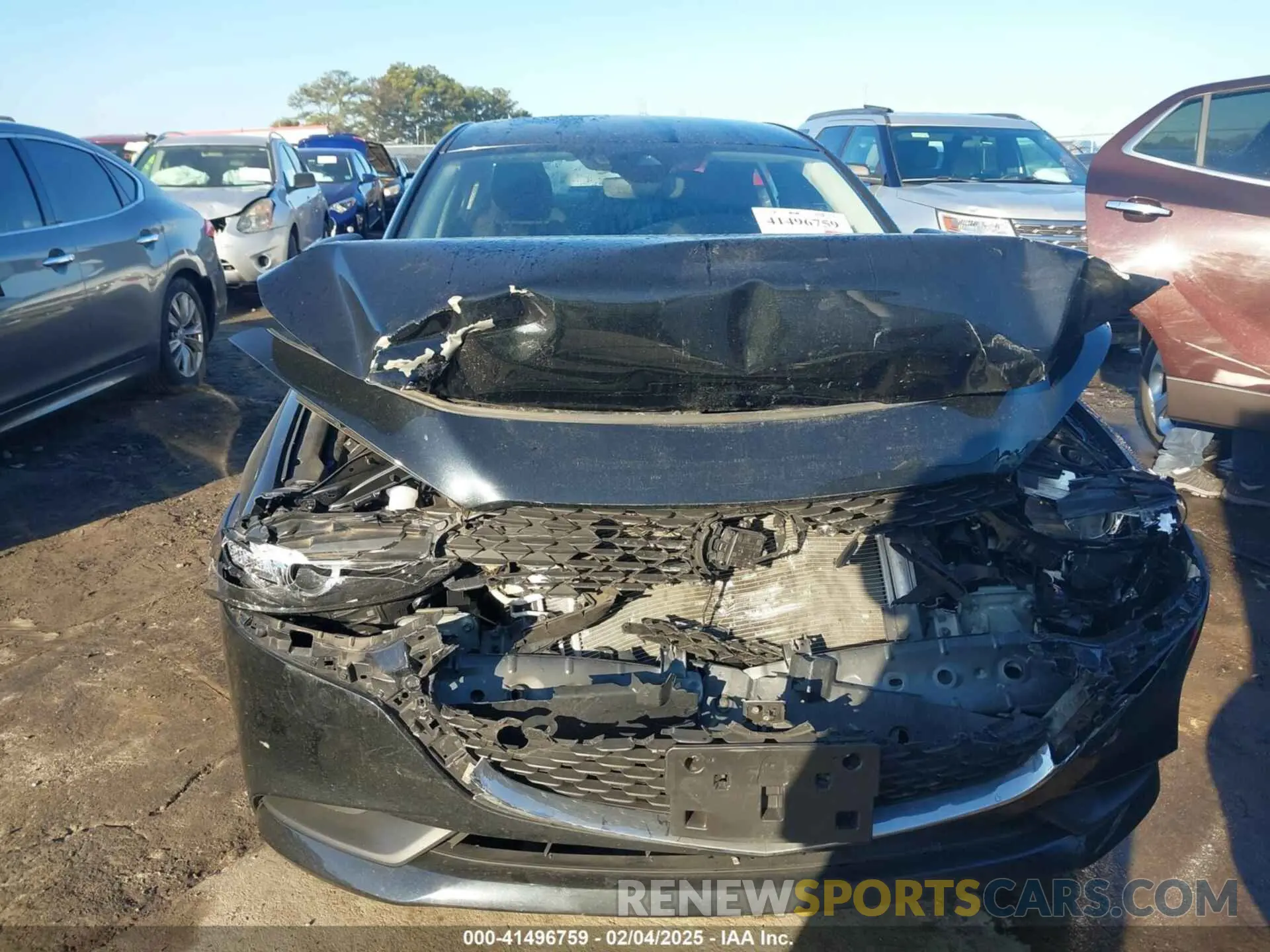 12 fotografías del automóvil dañado JM1BPAA72M1334617 MAZDA MAZDA3 2021