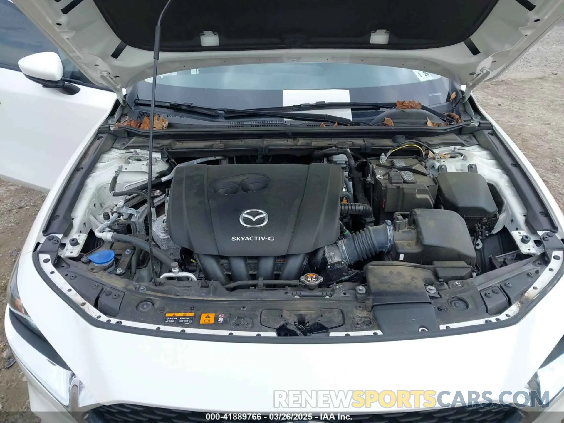 10 fotografías del automóvil dañado JM1BPAAL6M1310589 MAZDA MAZDA3 2021