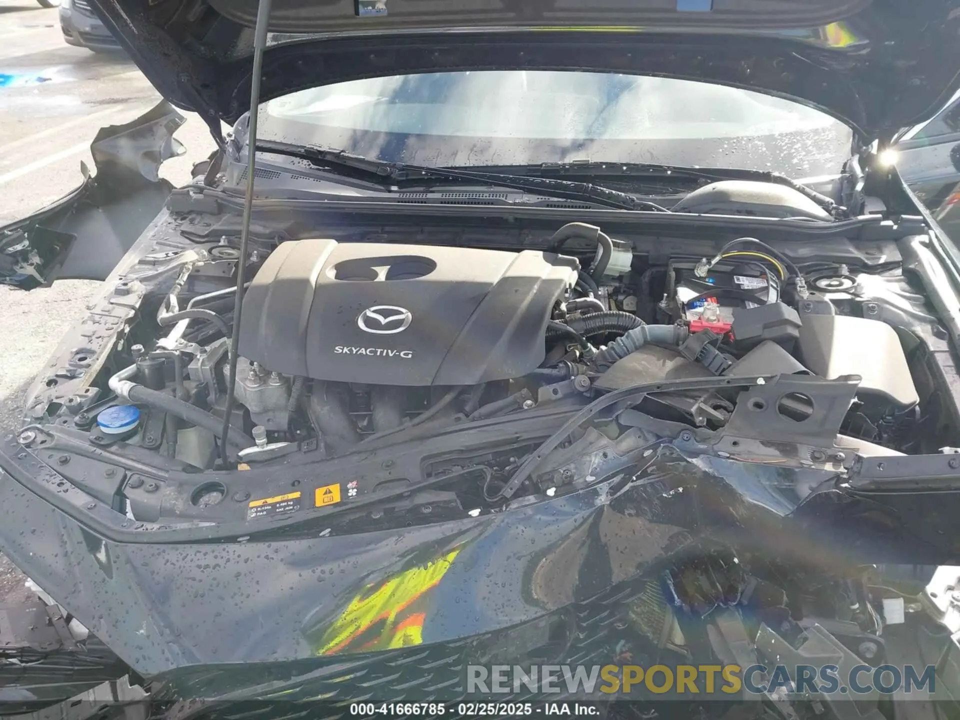 10 fotografías del automóvil dañado JM1BPADL7M1303484 MAZDA MAZDA3 2021