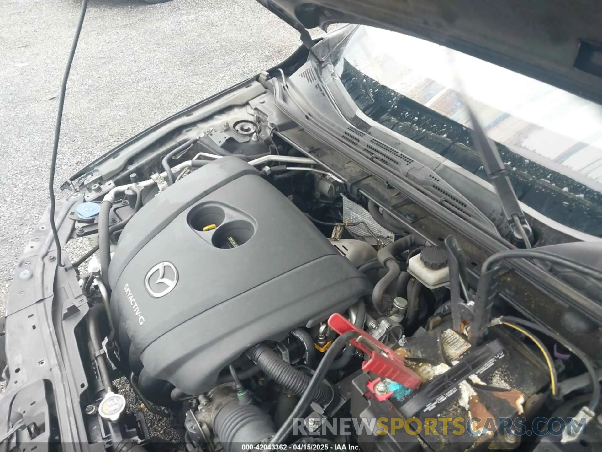 10 fotografías del automóvil dañado JM1BPAKL3M1314789 MAZDA MAZDA3 2021