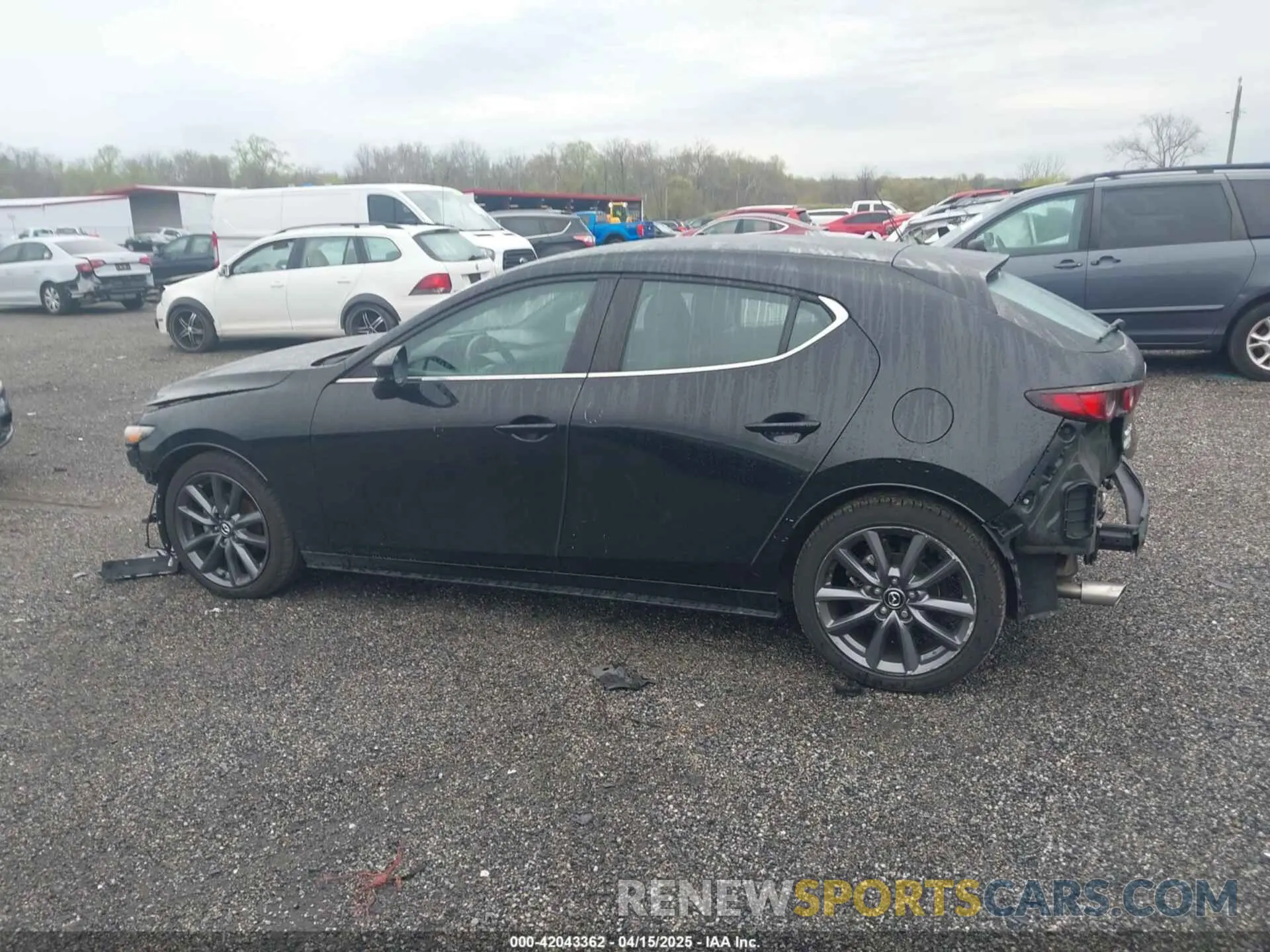 14 fotografías del automóvil dañado JM1BPAKL3M1314789 MAZDA MAZDA3 2021