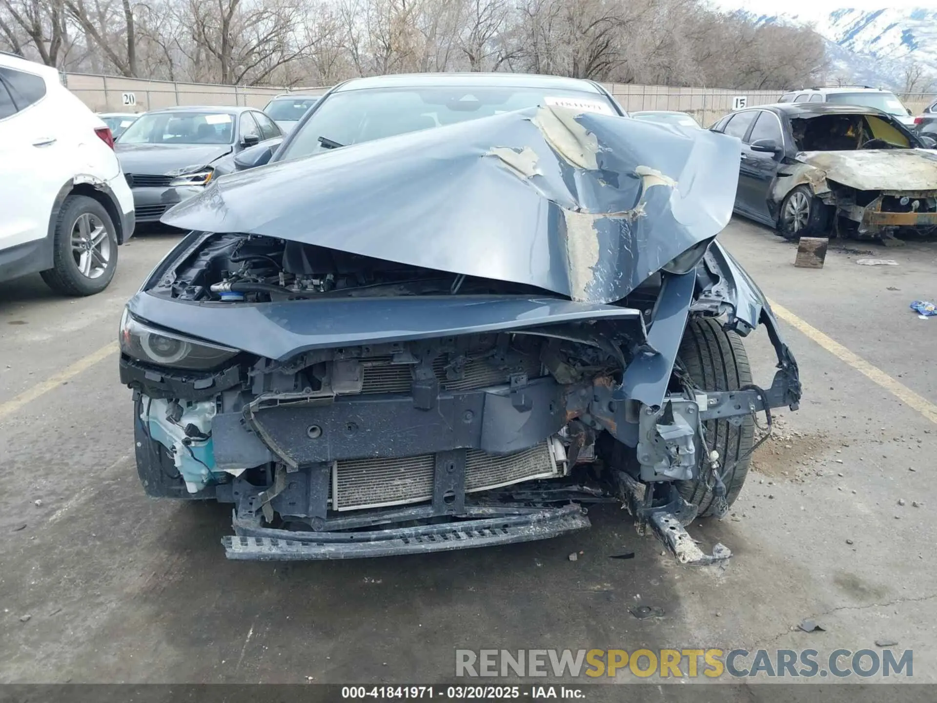 12 fotografías del automóvil dañado JM1BPAML1M1314092 MAZDA MAZDA3 2021