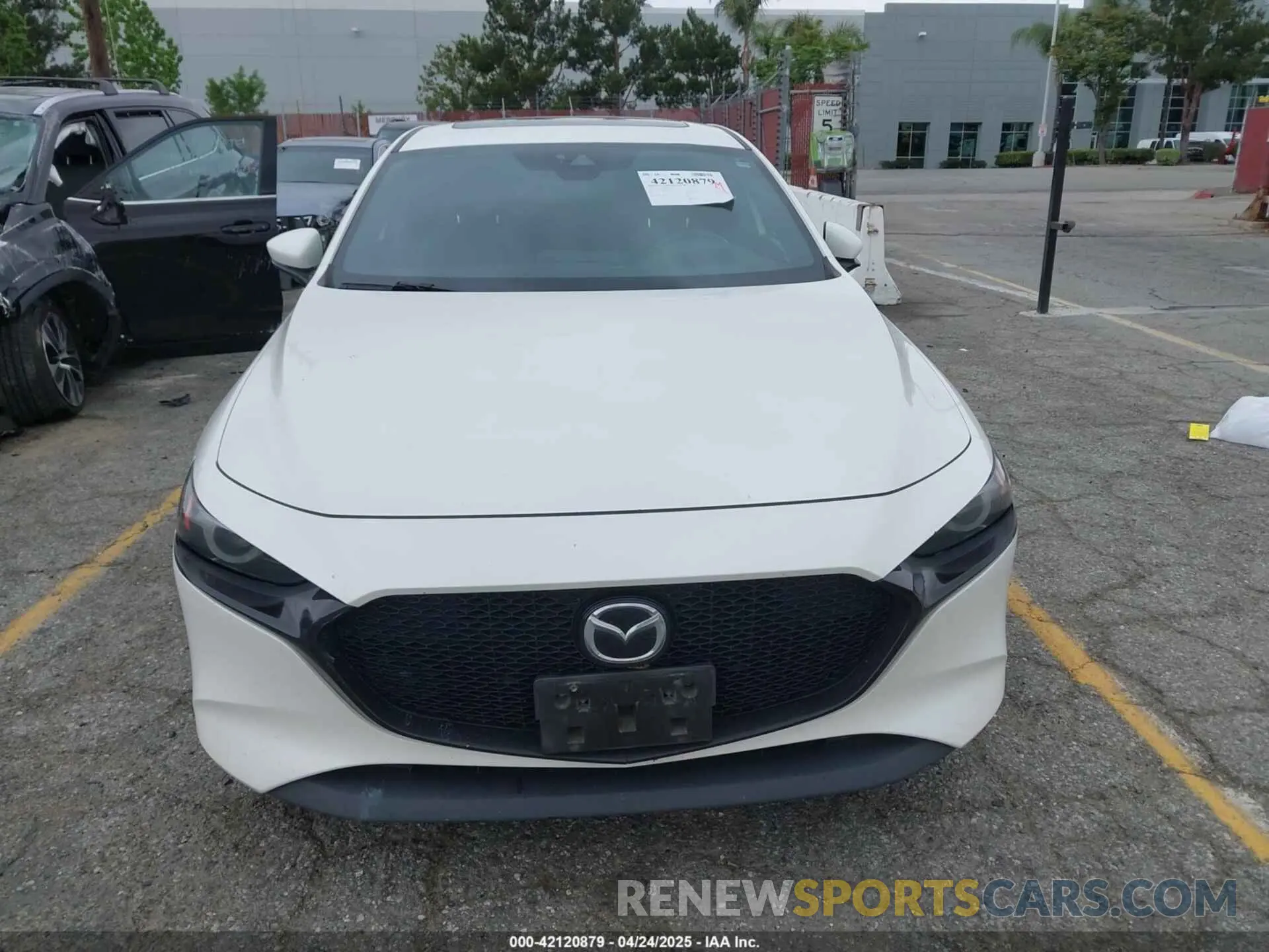 12 fotografías del automóvil dañado JM1BPAML3M1307029 MAZDA MAZDA3 2021