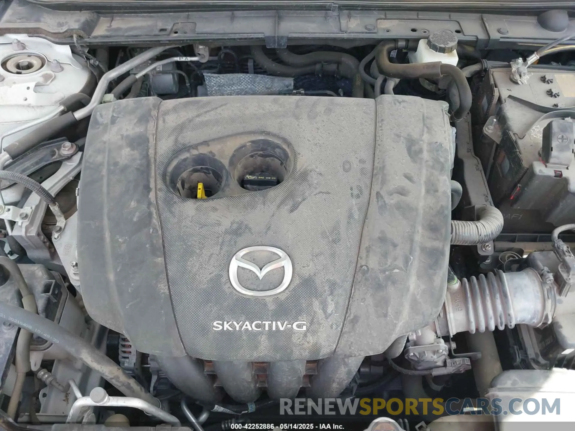 10 fotografías del automóvil dañado JM1BPAML5M1402899 MAZDA MAZDA3 2021