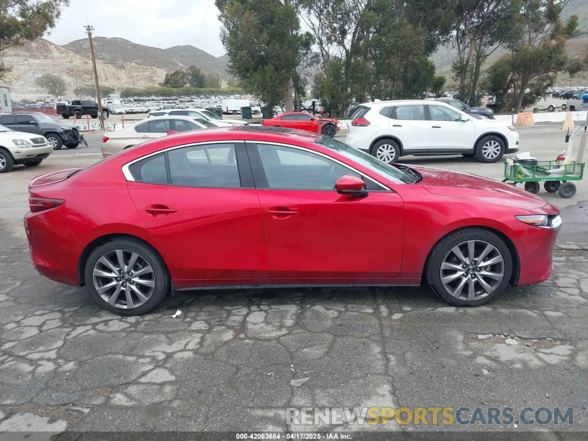 13 fotografías del automóvil dañado JM1BPBDL6M1305765 MAZDA MAZDA3 2021
