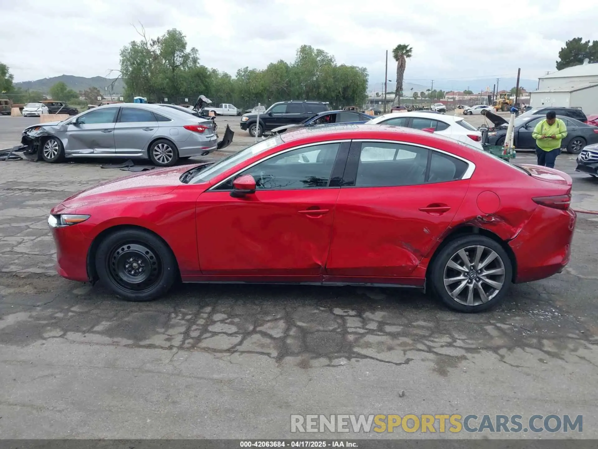 14 fotografías del automóvil dañado JM1BPBDL6M1305765 MAZDA MAZDA3 2021