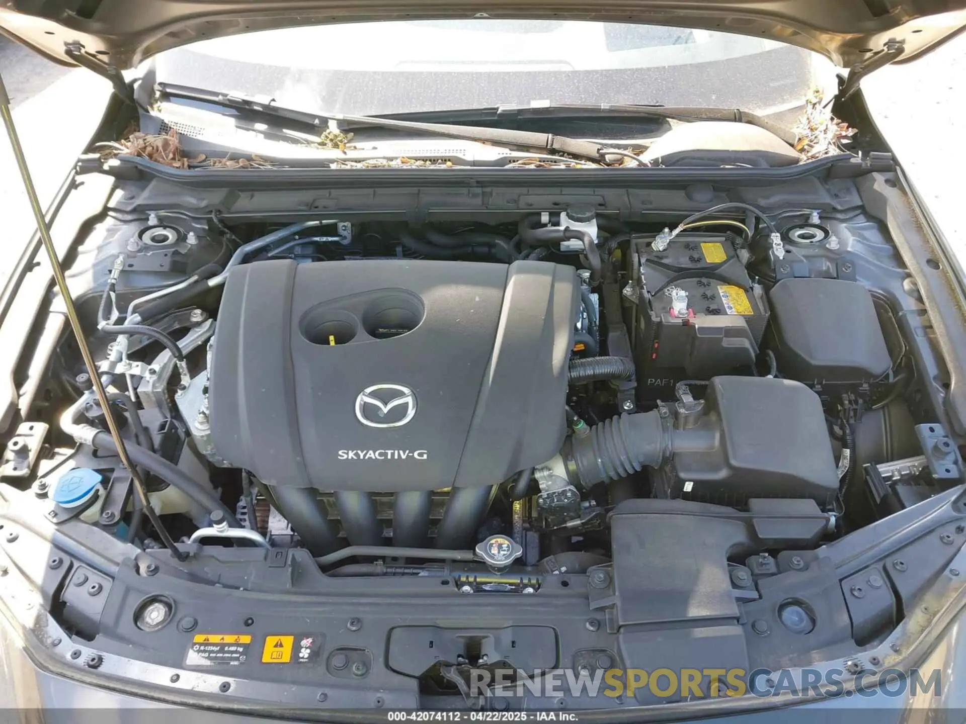10 fotografías del automóvil dañado JM1BPAML9N1518186 MAZDA MAZDA3 2022