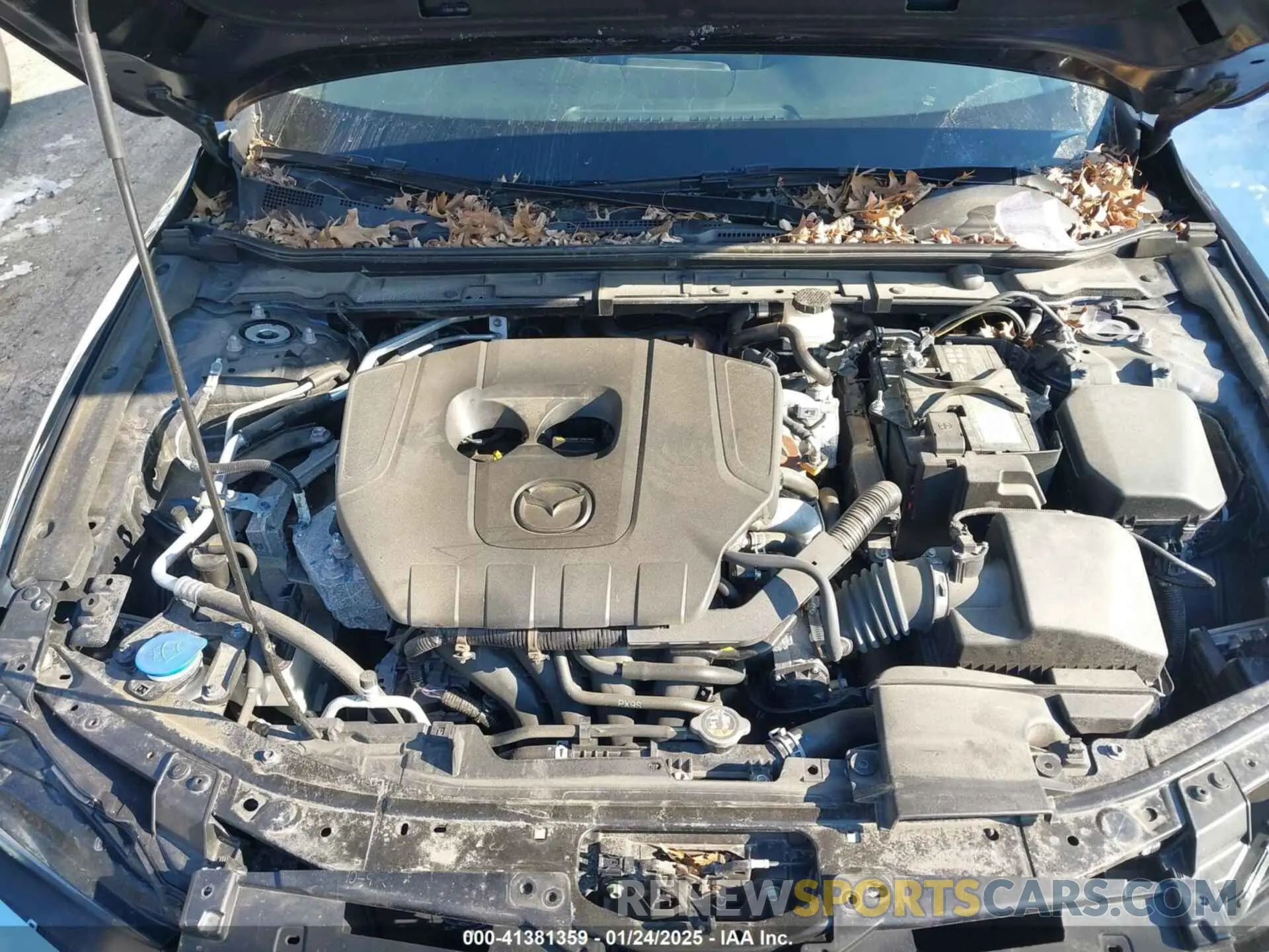 10 fotografías del automóvil dañado 3MZBPABM3PM377887 MAZDA MAZDA3 2023