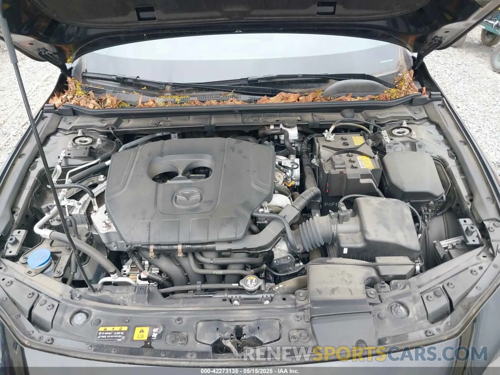 10 fotografías del automóvil dañado JM1BPAKM8P1614499 MAZDA MAZDA3 2023