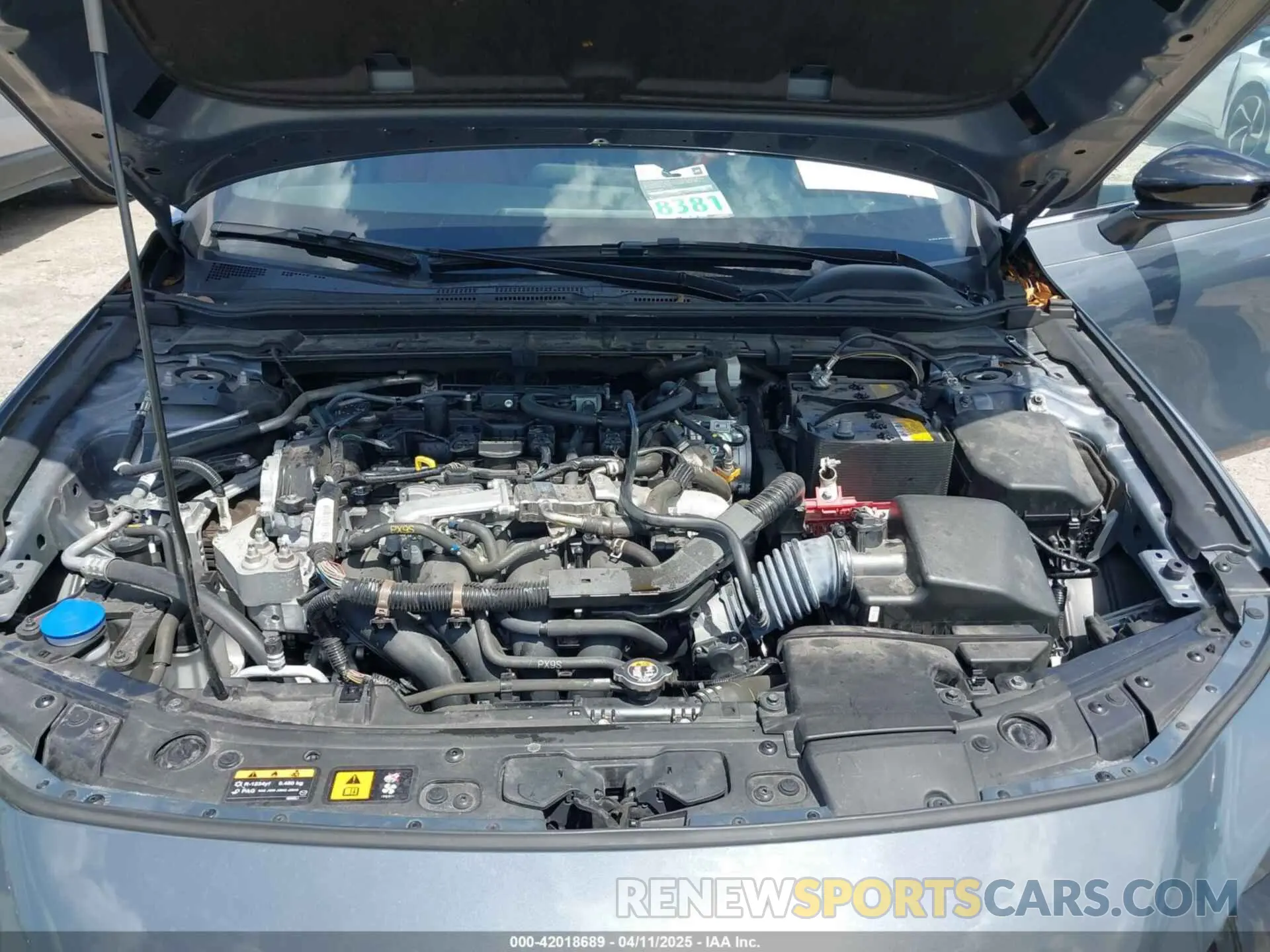 10 fotografías del automóvil dañado JM1BPALM2P1606784 MAZDA MAZDA3 2023