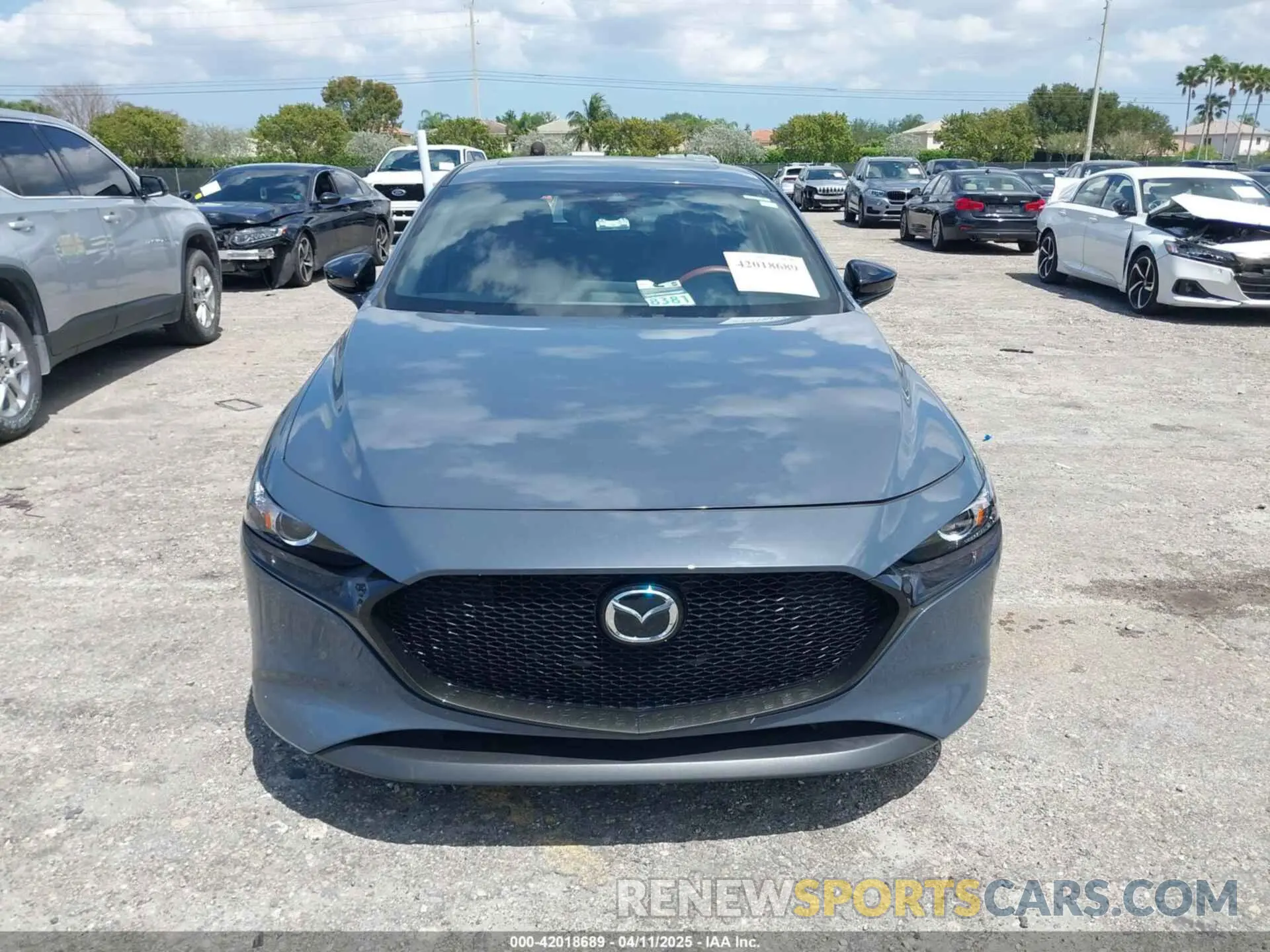 6 fotografías del automóvil dañado JM1BPALM2P1606784 MAZDA MAZDA3 2023