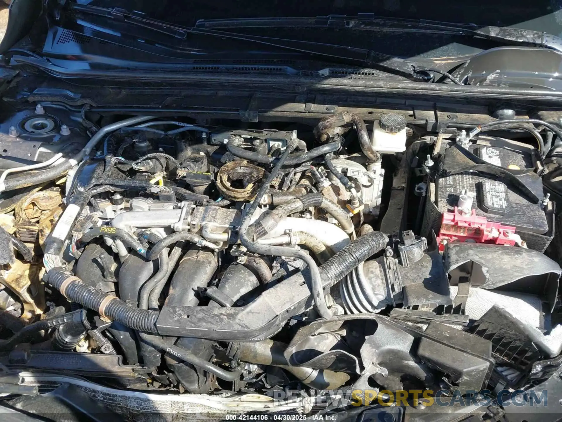 10 fotografías del automóvil dañado JM1BPALM6P1610353 MAZDA MAZDA3 2023