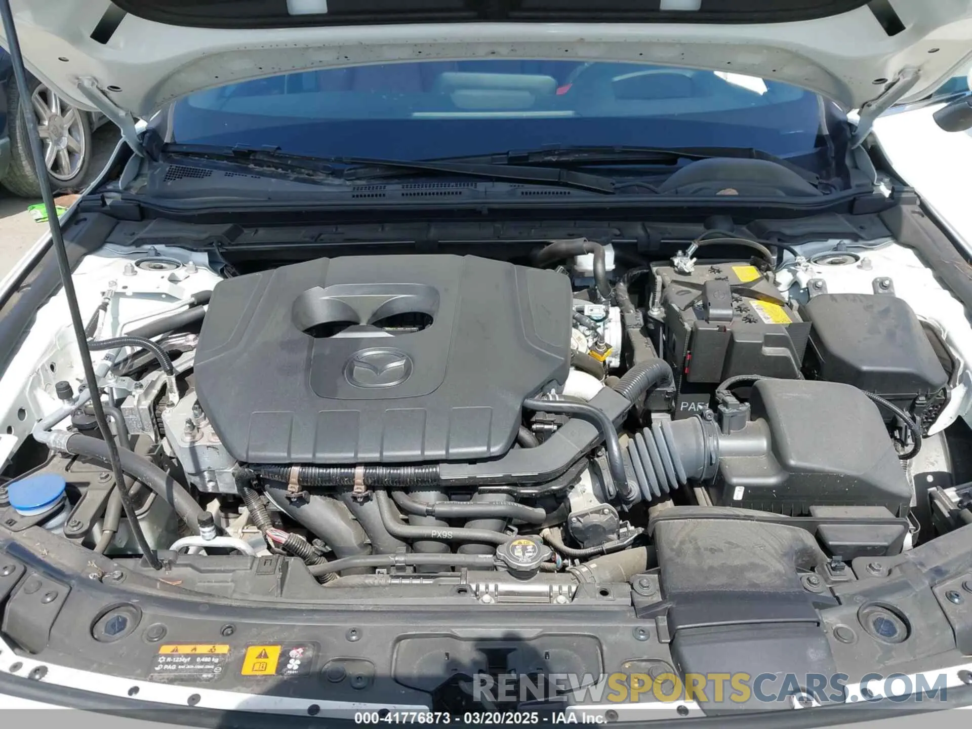 10 fotografías del automóvil dañado JM1BPAMM3P1622281 MAZDA MAZDA3 2023