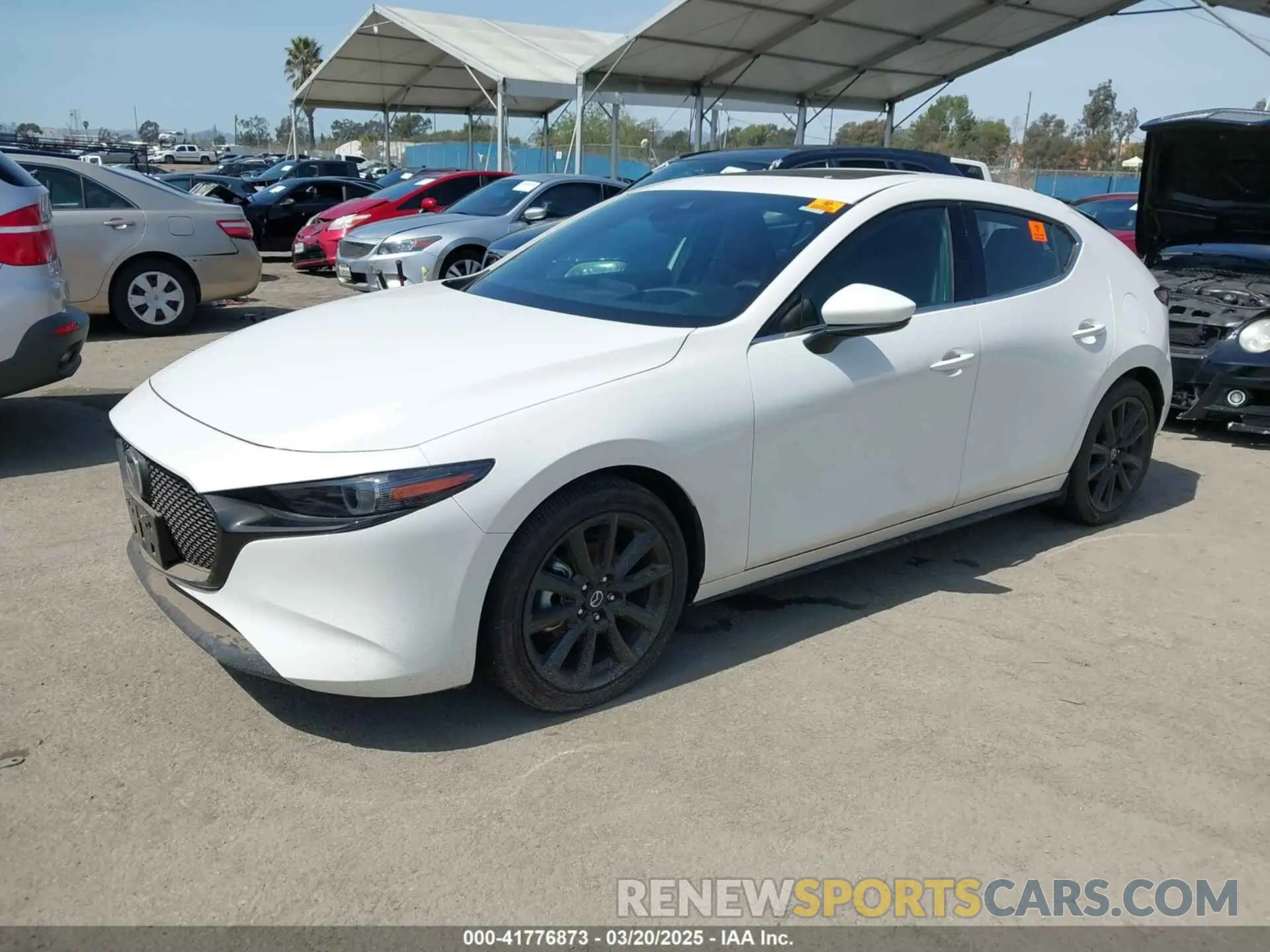 2 fotografías del automóvil dañado JM1BPAMM3P1622281 MAZDA MAZDA3 2023