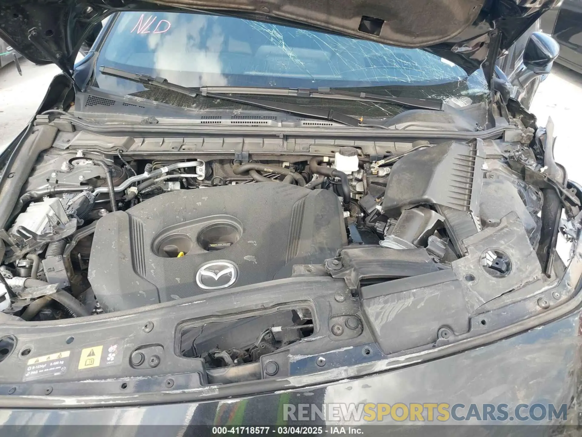 10 fotografías del automóvil dañado JM1BPBNY0P1615814 MAZDA MAZDA3 HATCHBACK 2023