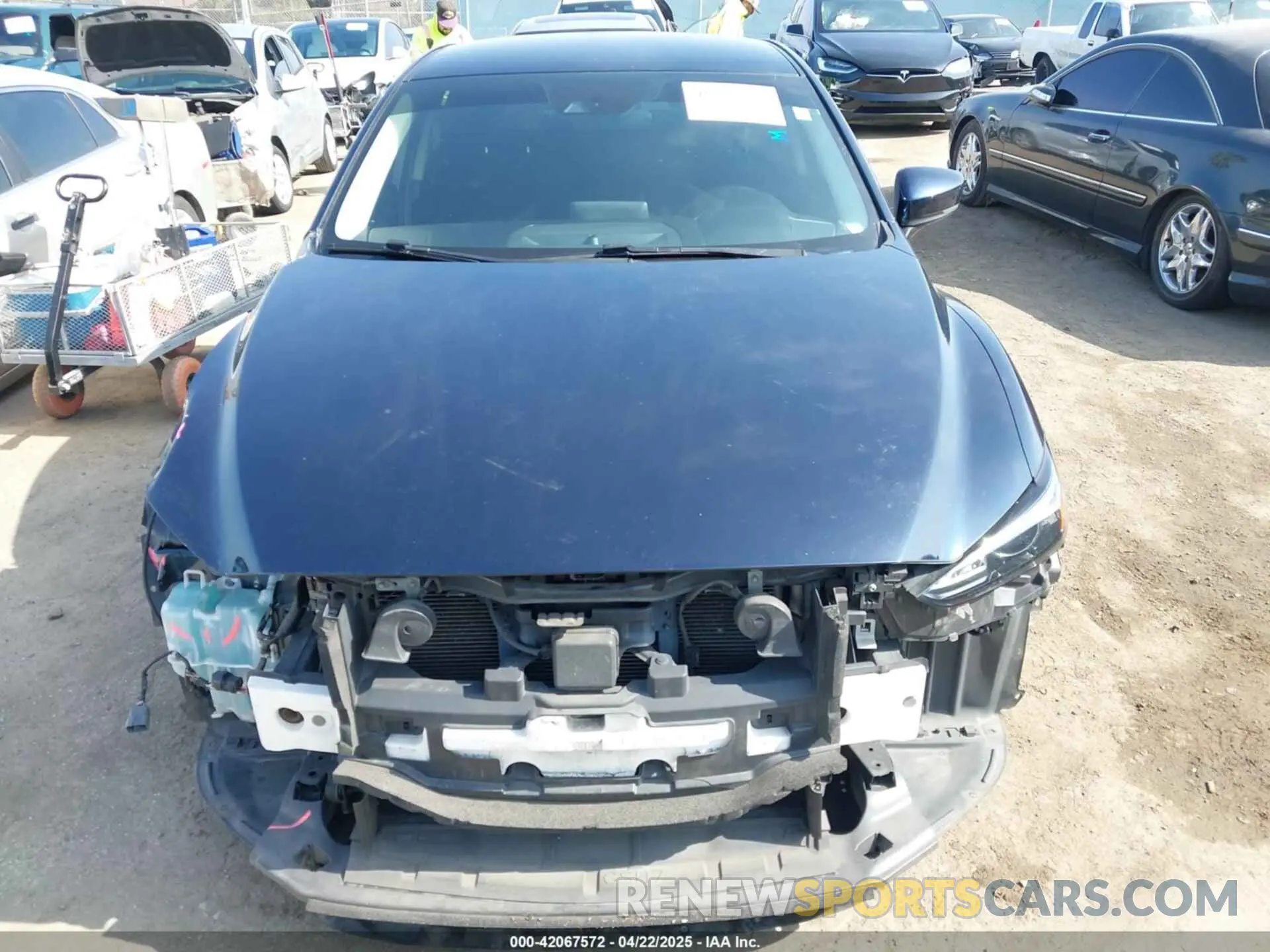 13 fotografías del automóvil dañado JM1GL1UM3K1506203 MAZDA MAZDA6 2019