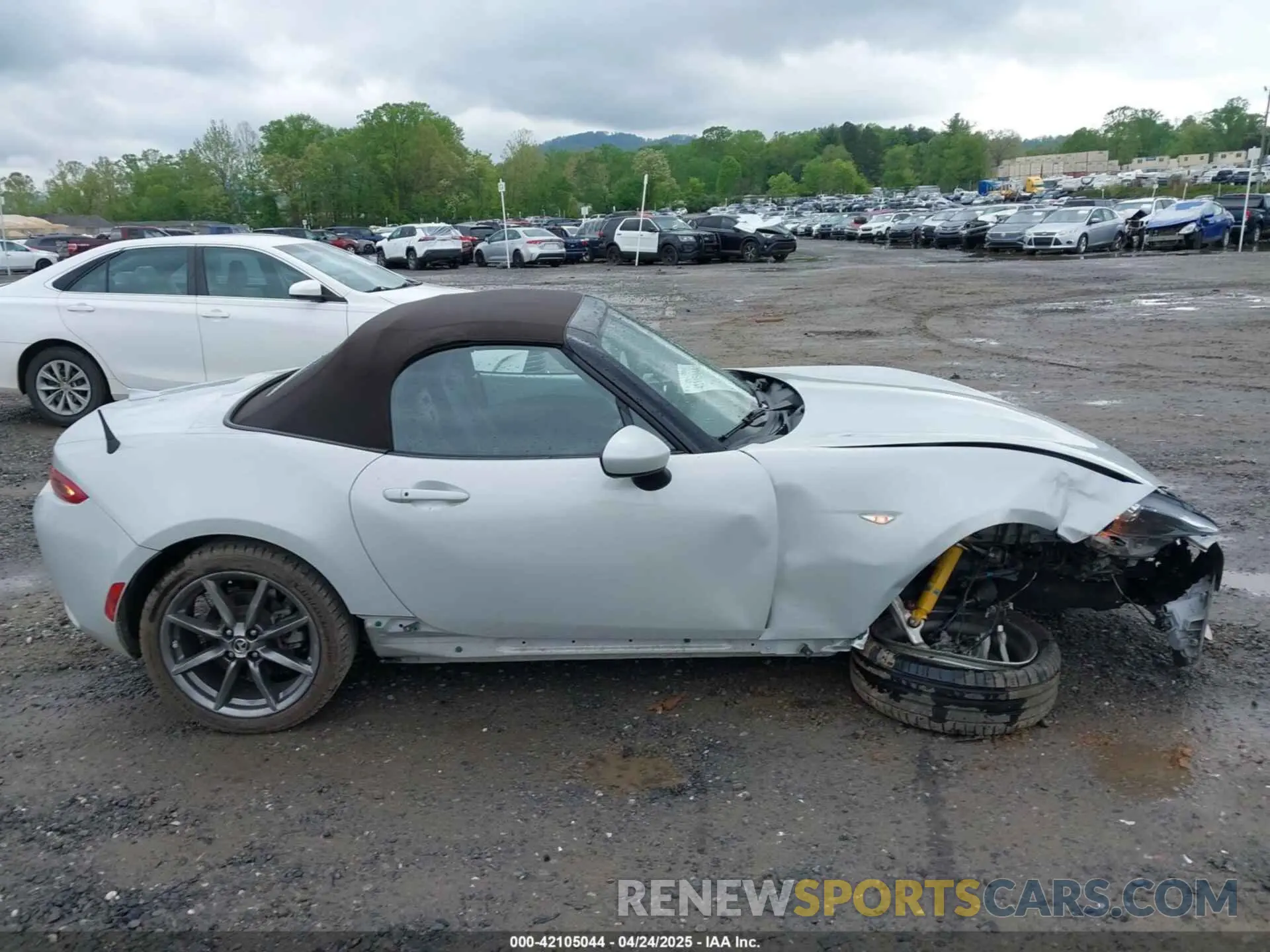 13 fotografías del automóvil dañado JM1NDAD77K0304999 MAZDA MX-5 MIATA 2019