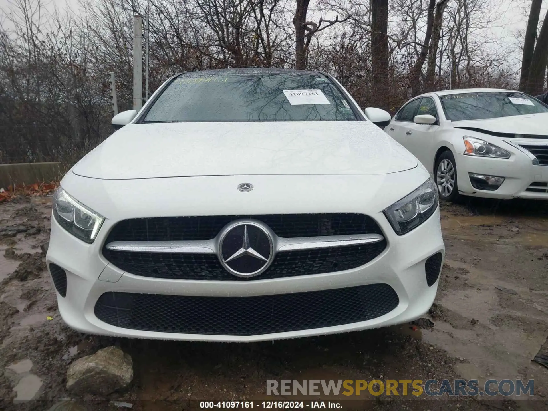 12 fotografías del automóvil dañado WDD3G4FB6KW027380 MERCEDES-BENZ A 220 2019