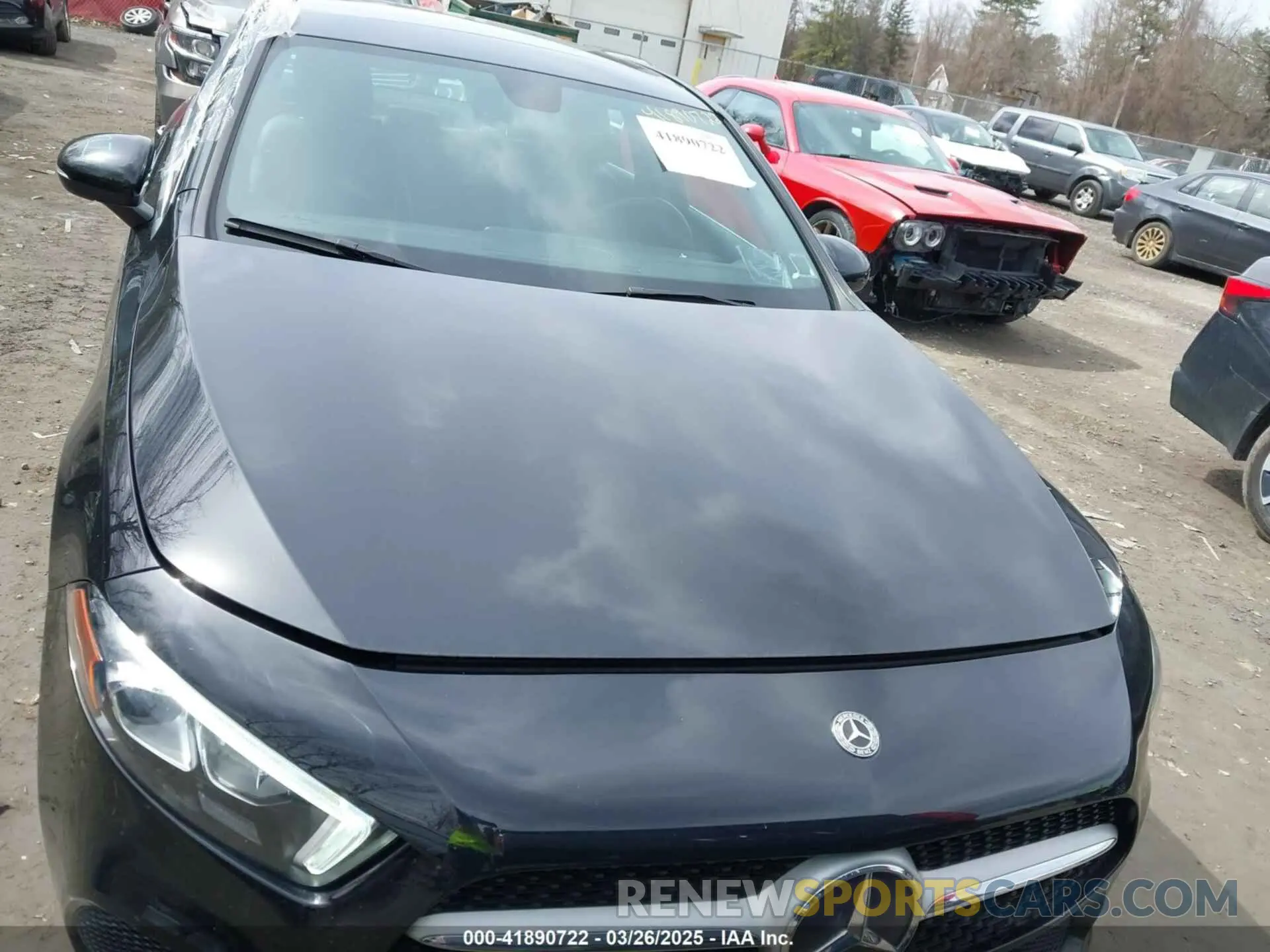 12 fotografías del automóvil dañado WDD3G4FB6KW028111 MERCEDES-BENZ A 220 2019