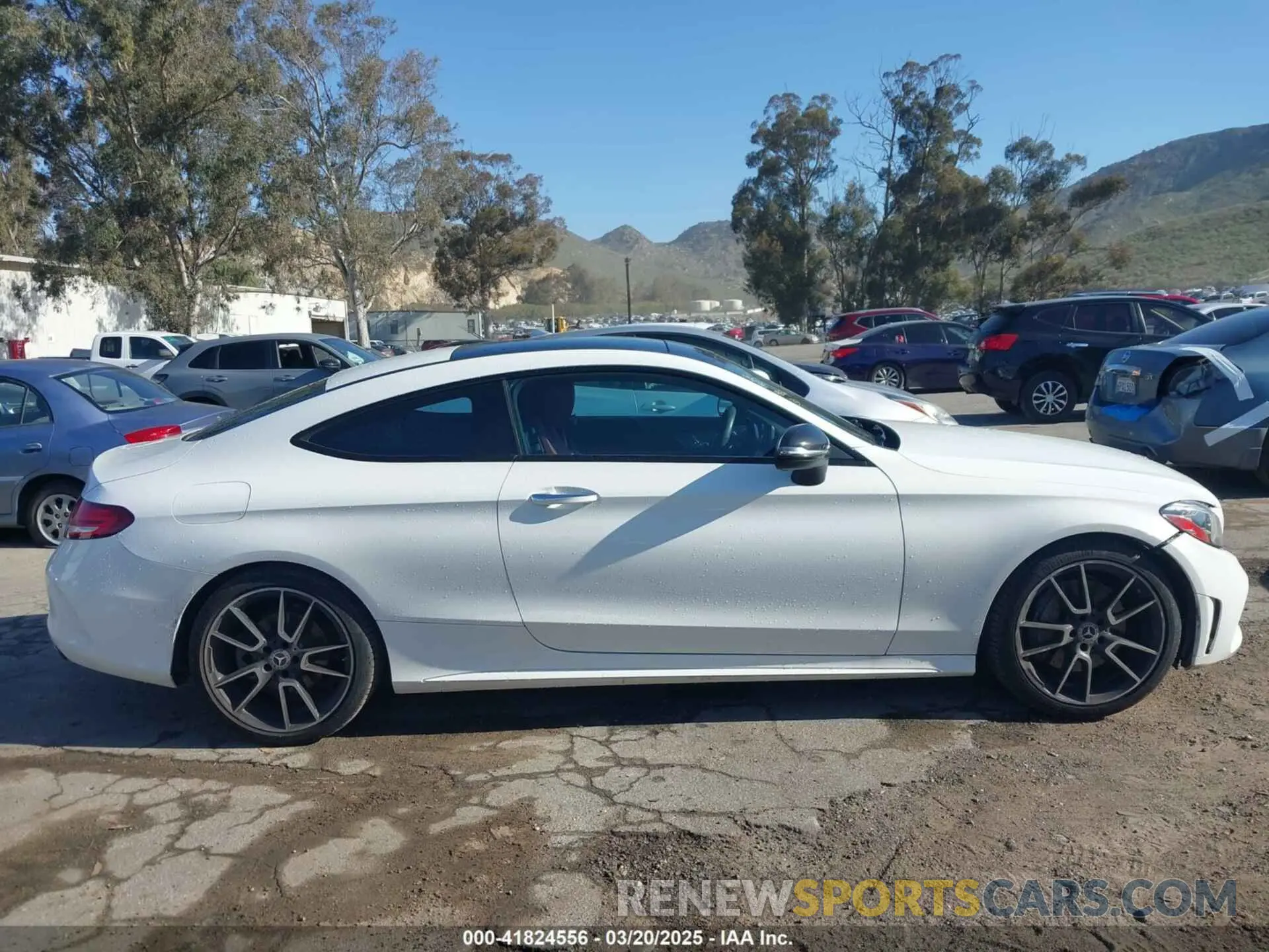 14 fotografías del automóvil dañado WDDWJ8DB1KF844216 MERCEDES-BENZ C 300 2019