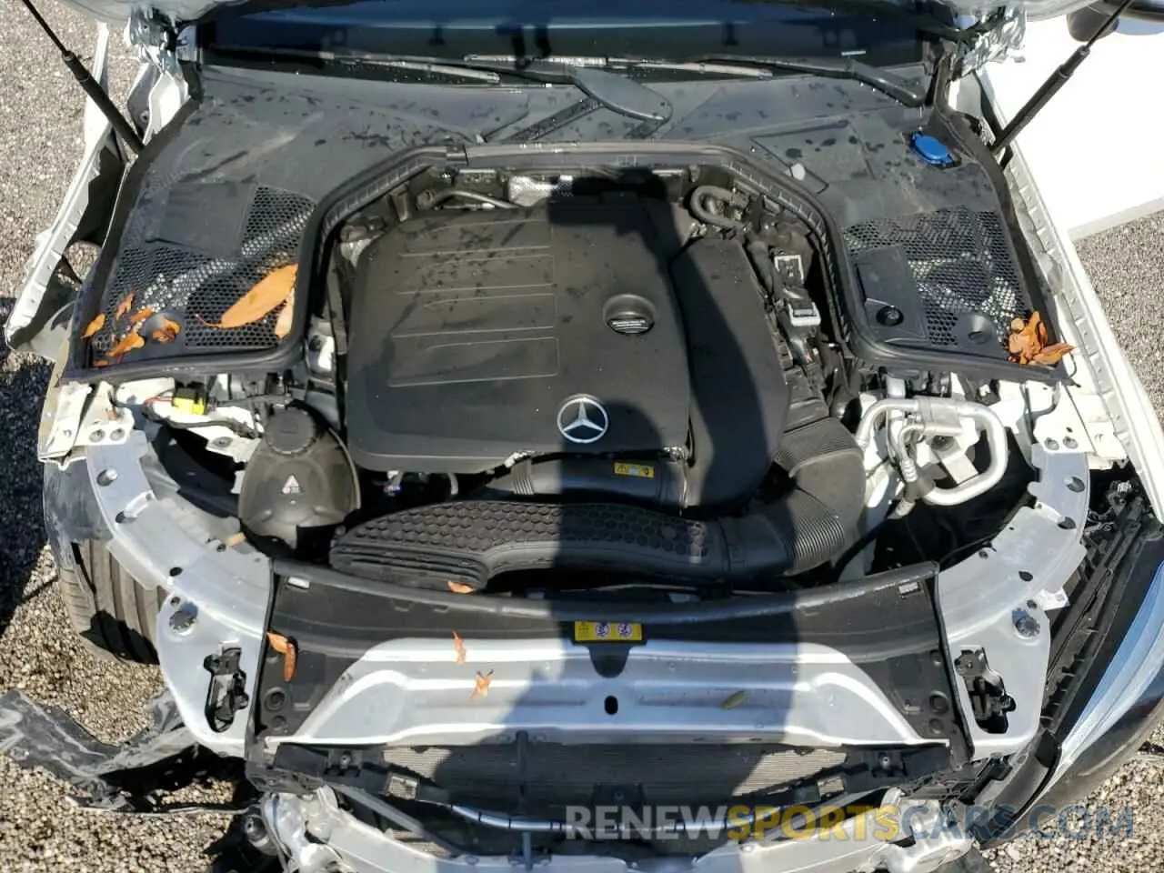 7 fotografías del automóvil dañado WDDWK8DB0KF844950 MERCEDES-BENZ C-CLASS 2019