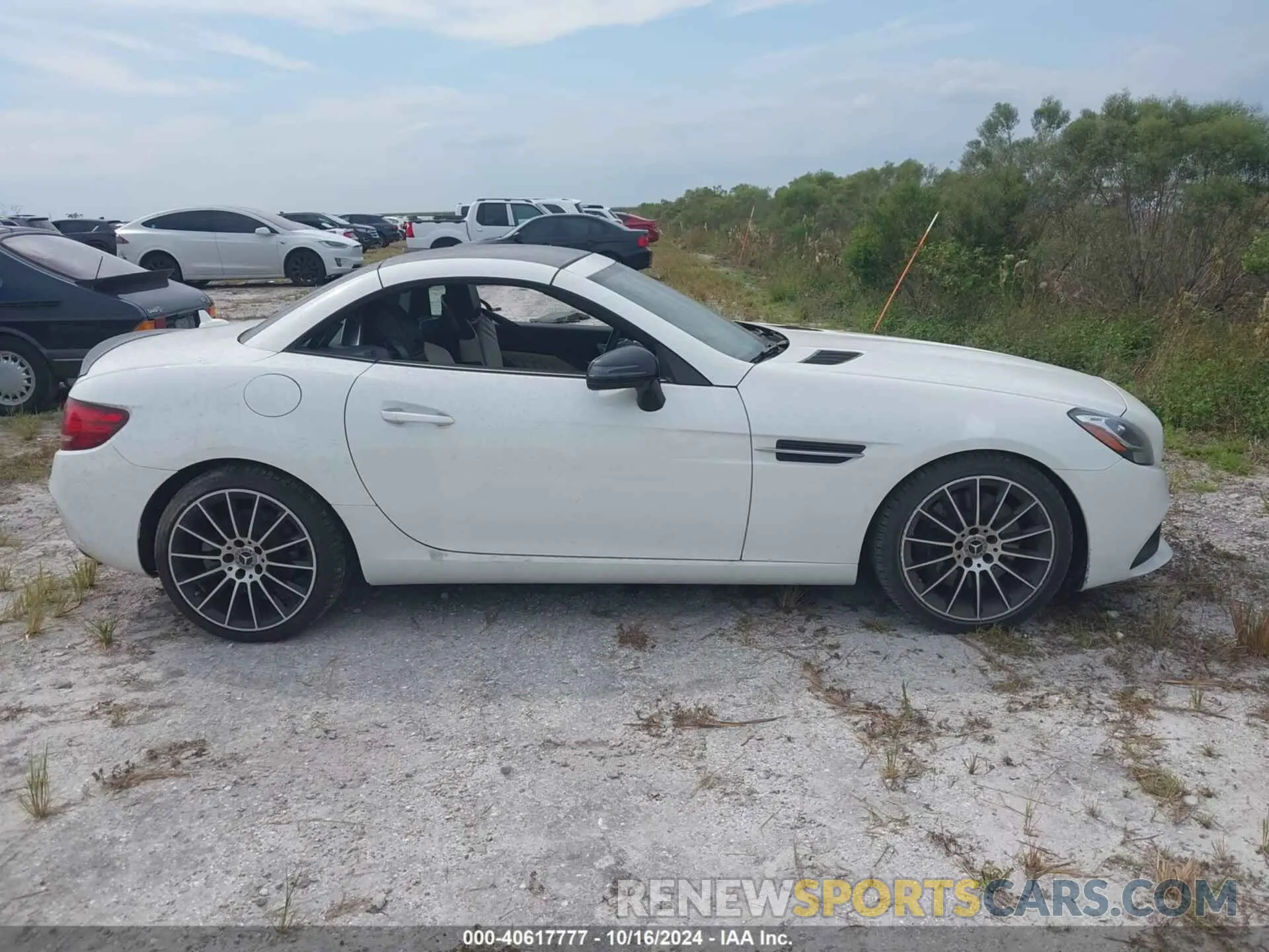 12 fotografías del automóvil dañado WDDPK3JA2KF161117 MERCEDES-BENZ SLC 300 2019