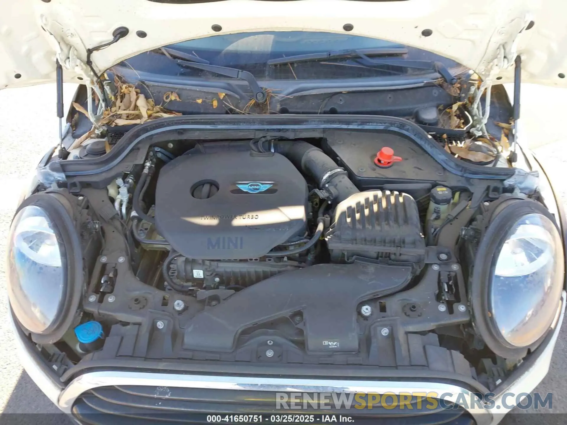 10 fotografías del automóvil dañado WMWWG5C52K3D01641 MINI CONVERTIBLE 2019