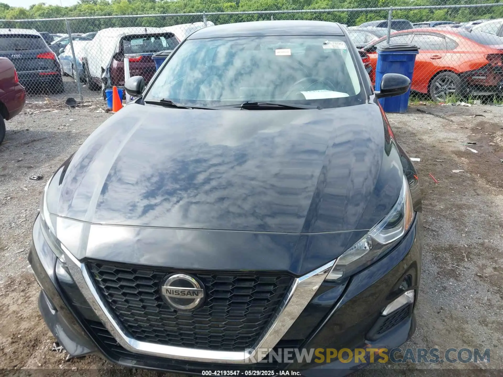 12 fotografías del automóvil dañado 1N4BL4BV3KC156752 NISSAN ALTIMA 2019