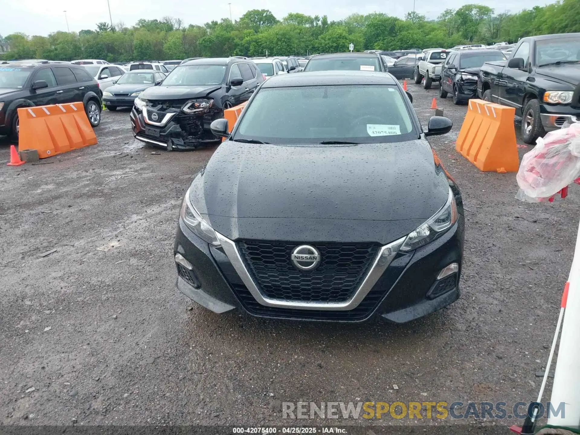 12 fotografías del automóvil dañado 1N4BL4BV9KC254569 NISSAN ALTIMA 2019