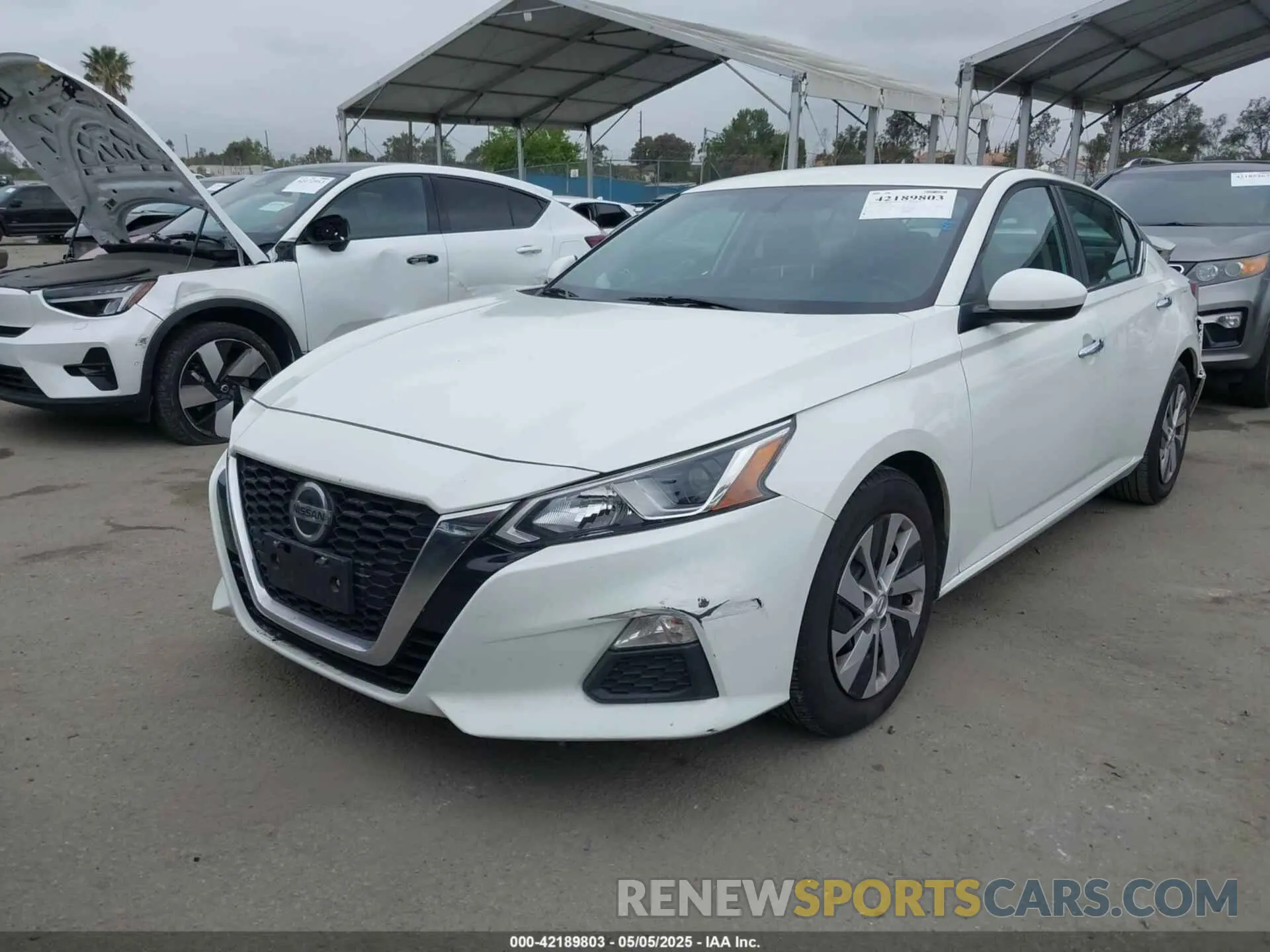 2 fotografías del automóvil dañado 1N4BL4BVXKC225422 NISSAN ALTIMA 2019